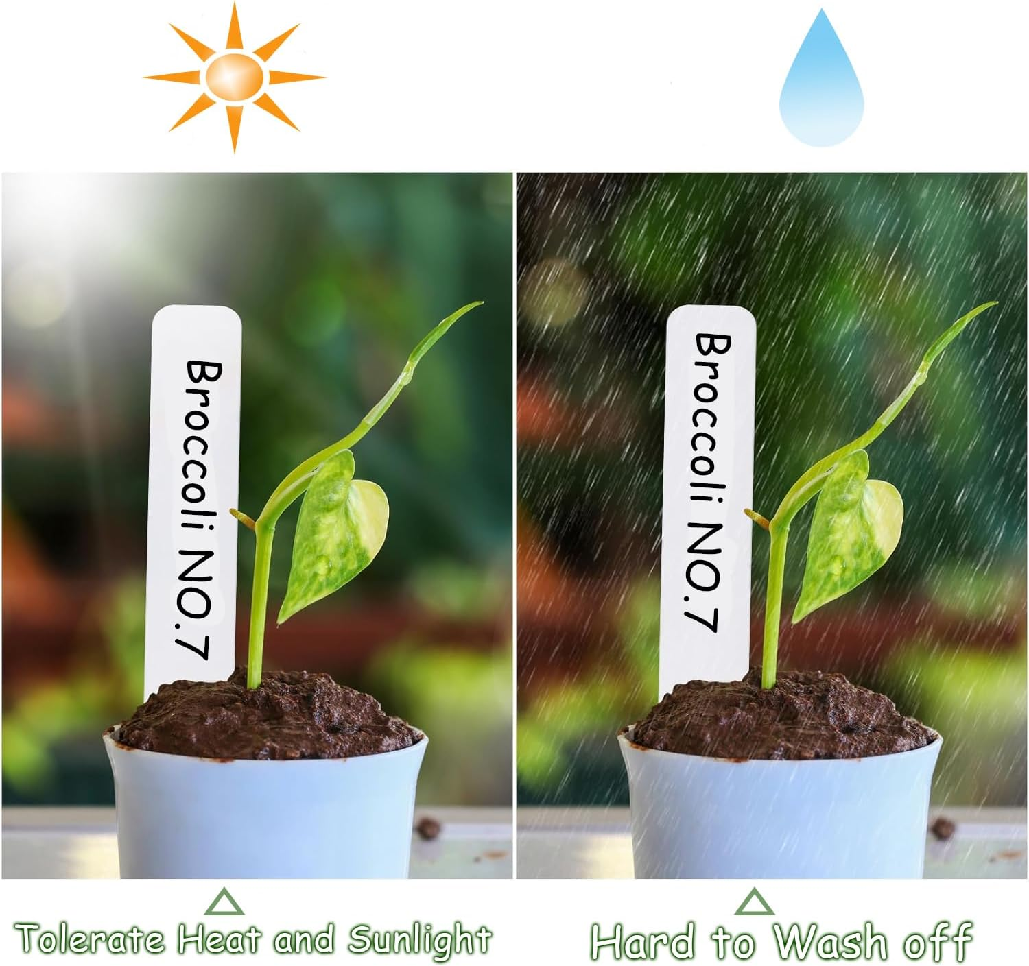 WEZCHUGHAOL 300PCS Waterproof Outdoor Garden Markers, Plastic Plant Tags for Nursery Seeds & Plants with Bonus Permanent Marking Pen &ndash; Durable Plant Labels for Gardening image number 6