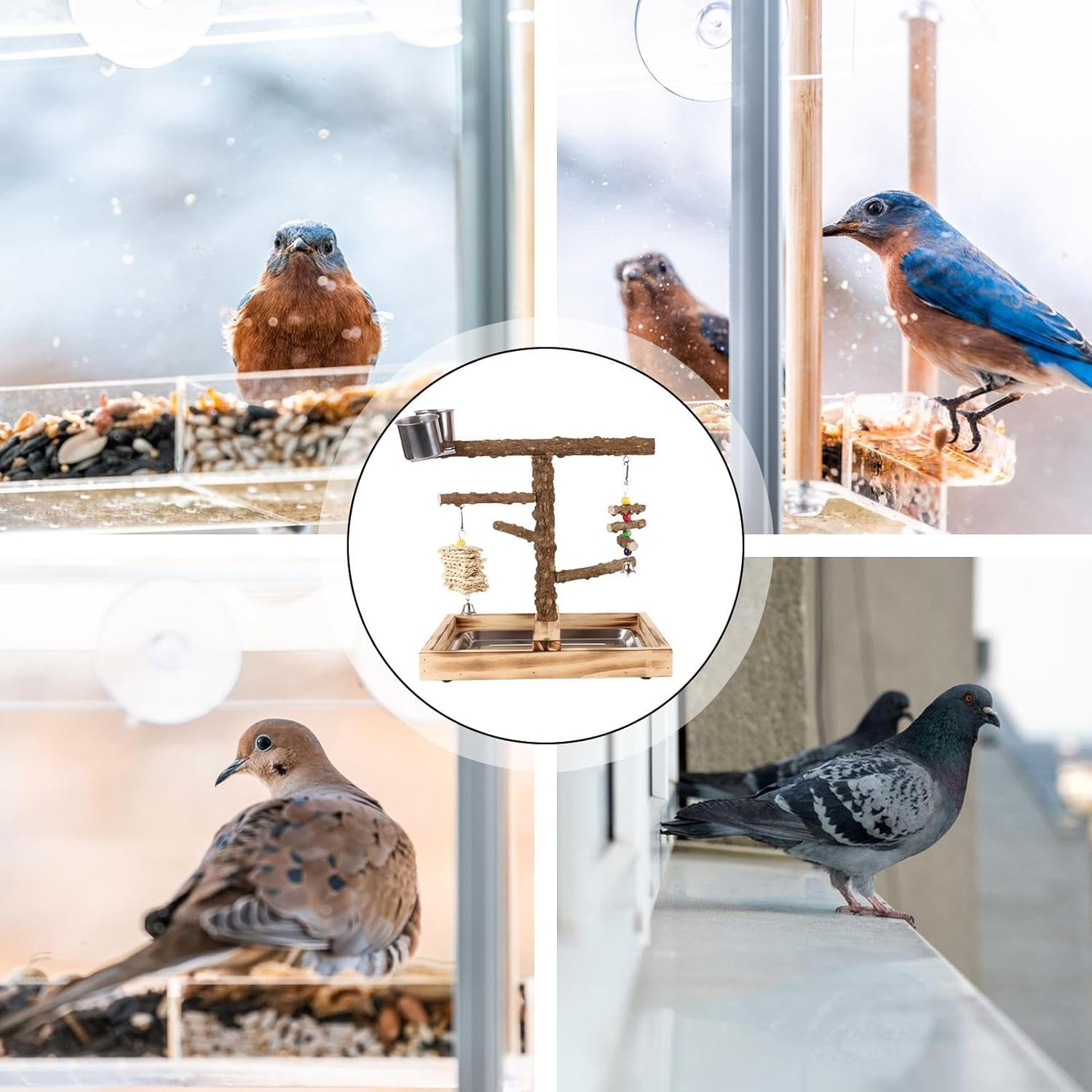 Gamepark for Birds - Integrated Feeder, Endurance Gym Training, Indoor Food Toys Exterior Gym Equipment Portable Picote Resistant Natural Wood Posts Gymnastic Bird Game Park | Integrated Resistance image number 1