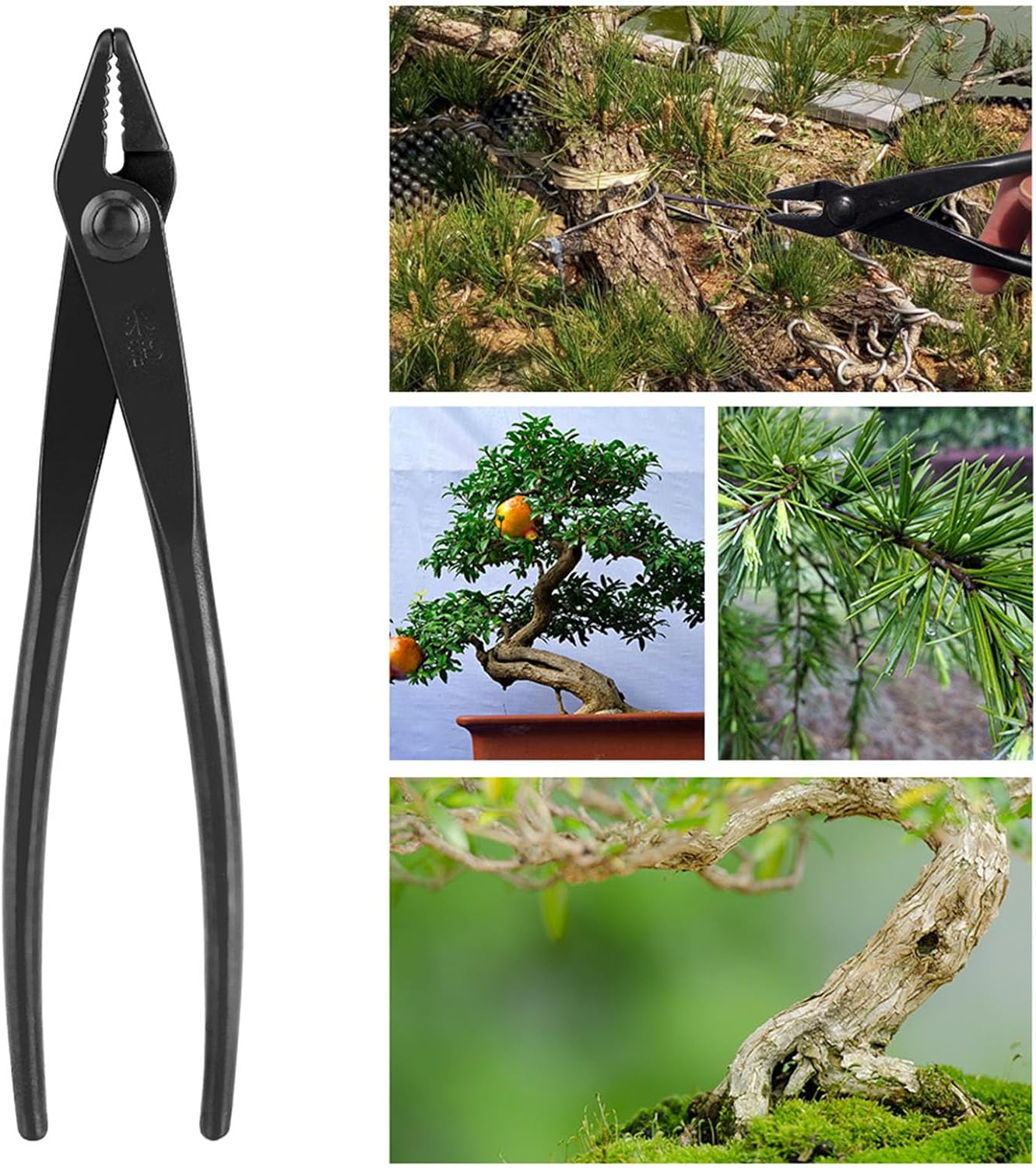 Bonsai Pliers, Bonsai Tool Wire Pliers for Garden Bonsai Branches Cutting image number 3