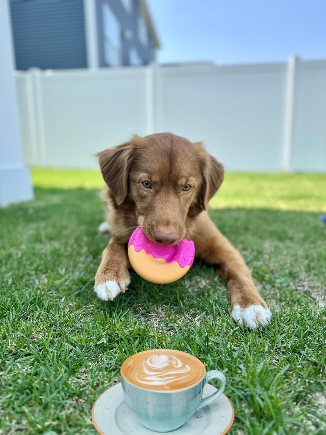 Nylabone Power Chew Glazed Donut Bacon Wolf image number 5