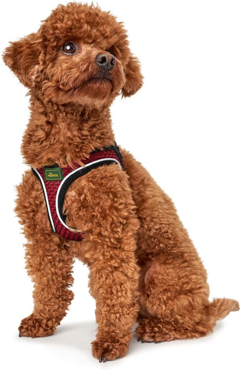 HUNTER Hilo Comfort Harness for Small Dogs, with Mesh Material and Reflective Elements,Red,Xs-S image number 5
