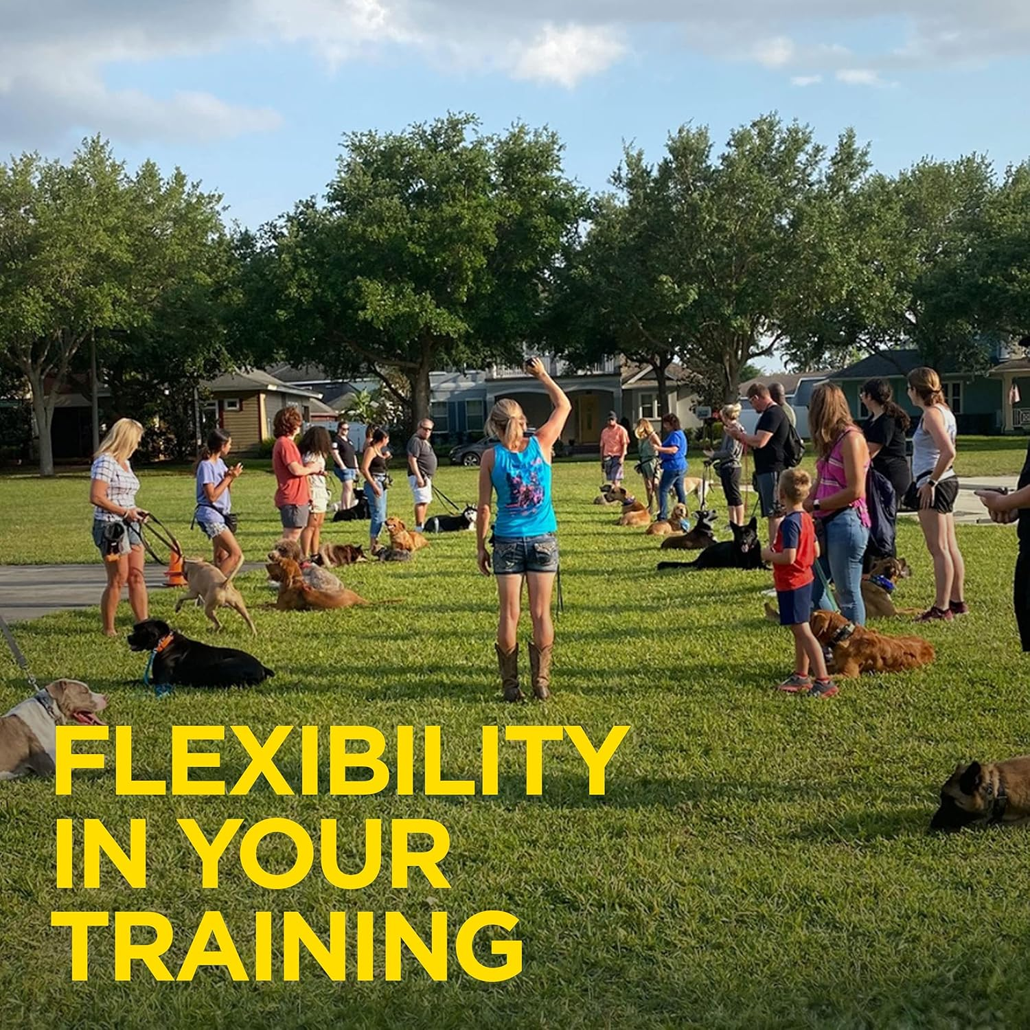 Dogtra 1900S HANDSFREE Remote Training Collar - 3/4 Mile Range, Waterproof, Rechargeable, Shock, Vibration, Hands Free Remote Controller - Includes Petstek Dog Training Clicker image number 5