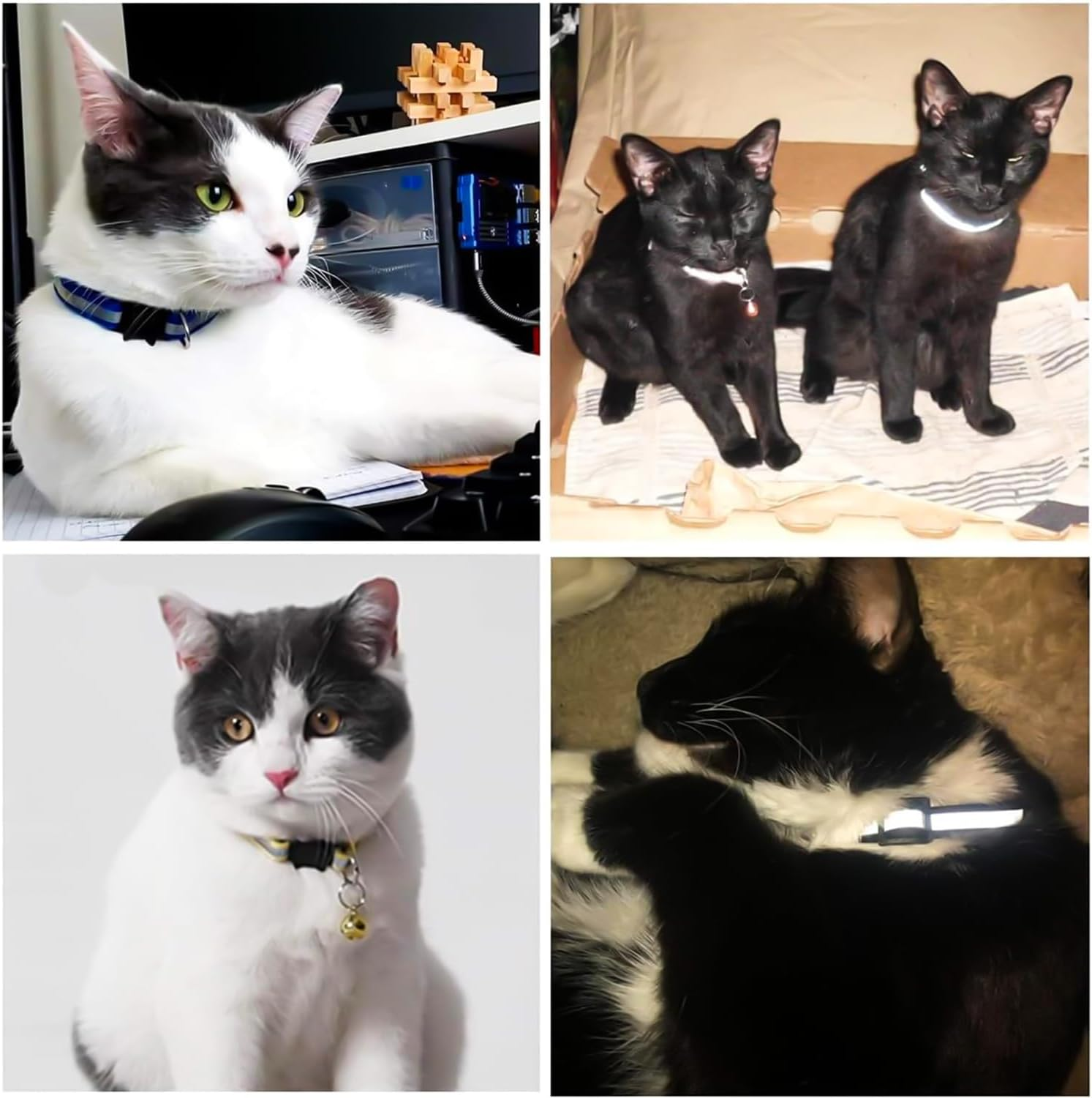 Cat Collar, Pack of 6 Collars Cat Collars with Safety Clasp, Pet Collar, Dog Collar, Cat Collars with Bell, Reflective Cat Collar, Adjustable image number 4