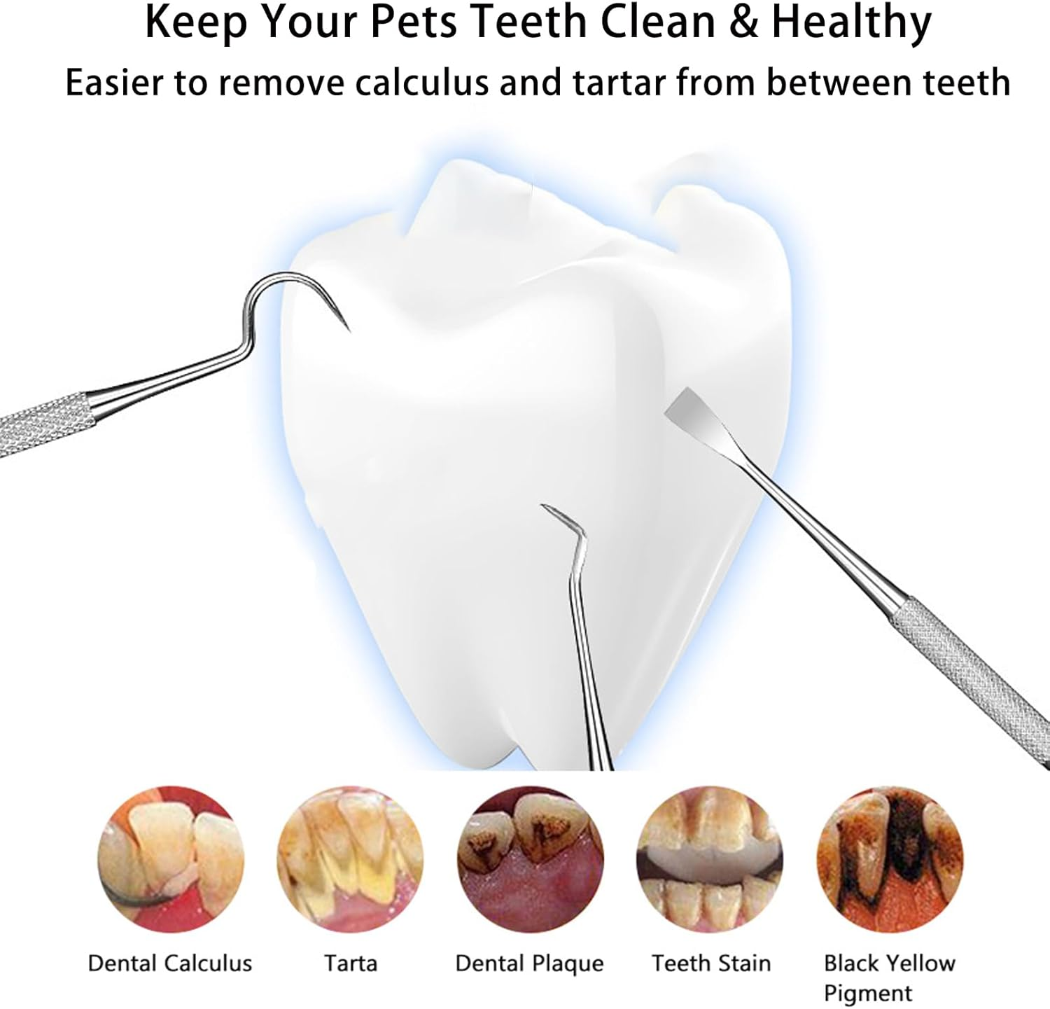 Tartar Remover Set for Dogs and Cats, Dog Tartar Remover Set, 3 Pieces Tartar Remover for Dogs, Tooth Cleaner for Animals, Dog Scaler Tartar Remover, Tartar Remover Dog image number 5