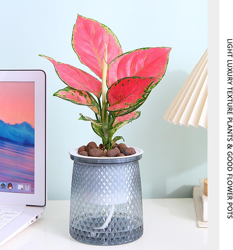 4PCS Self-Watering Planters &ndash; Transparent Double-Layer Indoor Flower Pots with Automatic Watering System &ndash; Diamond Design Plastic Planters for Orchids, Herbs, and Small Plants image number 4