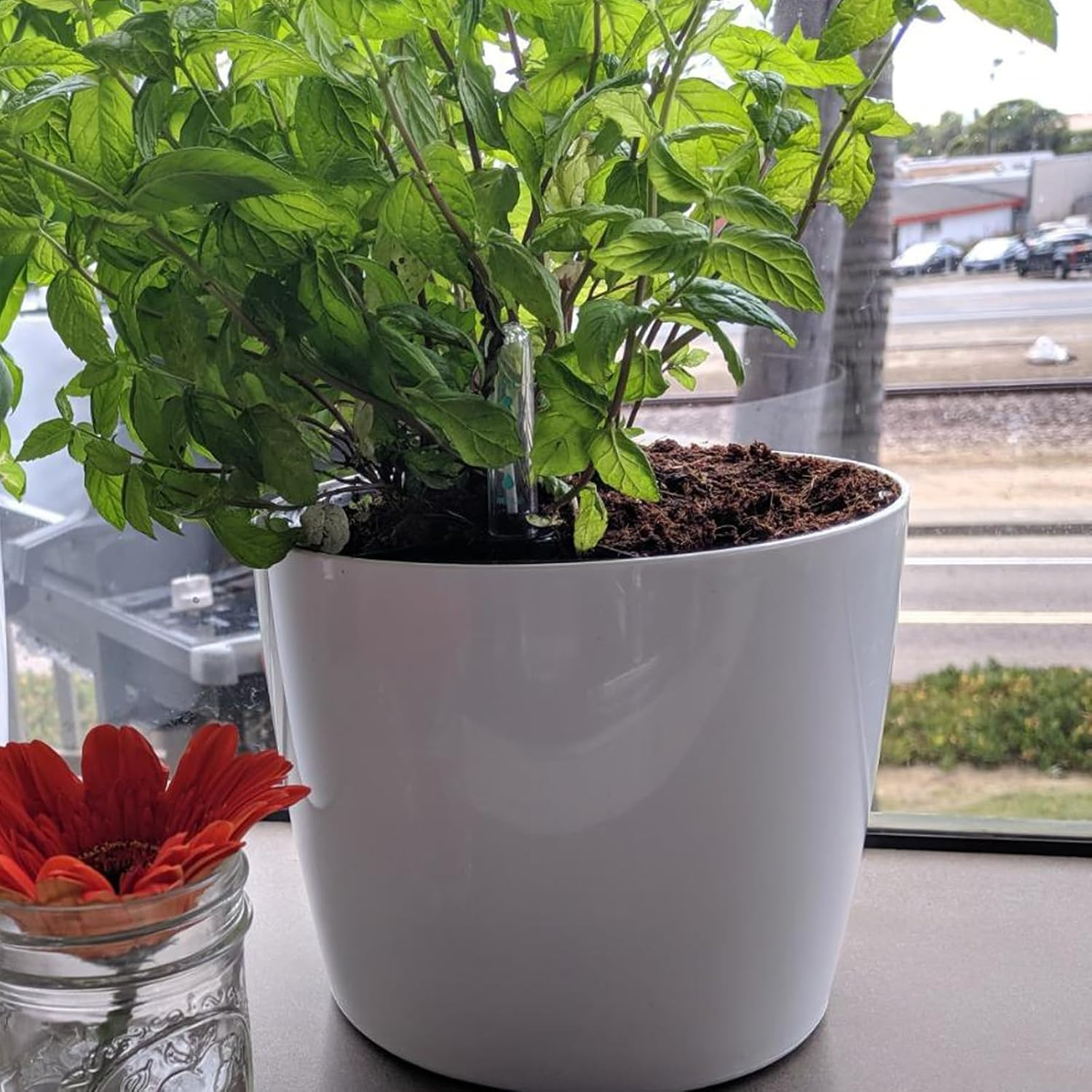 JOIKIT 4 Pack 7 Inches Self Watering Planter, White Plant Flower Pots with Water Level Indicator, Self Watering Pots for Indoor & Outdoor Succulents Plants Herb Garden