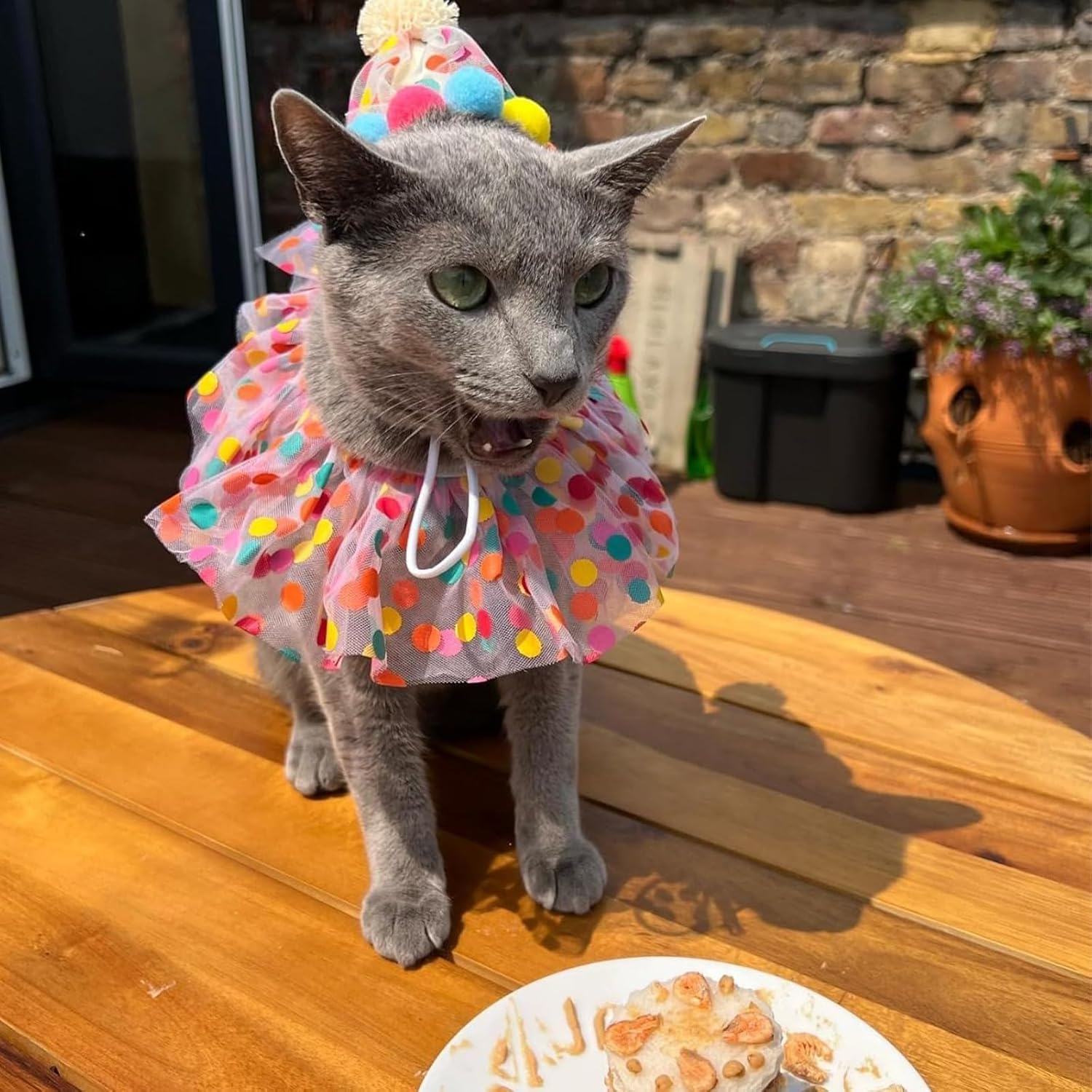 Princess Dog Crown Hat and Scarf Set, 2Pcs Cat Dog Princess Costumes Birthday Hat Scarf Set, Princess Costume Pet Neck Collar Girl Cat Collar Hat image number 1