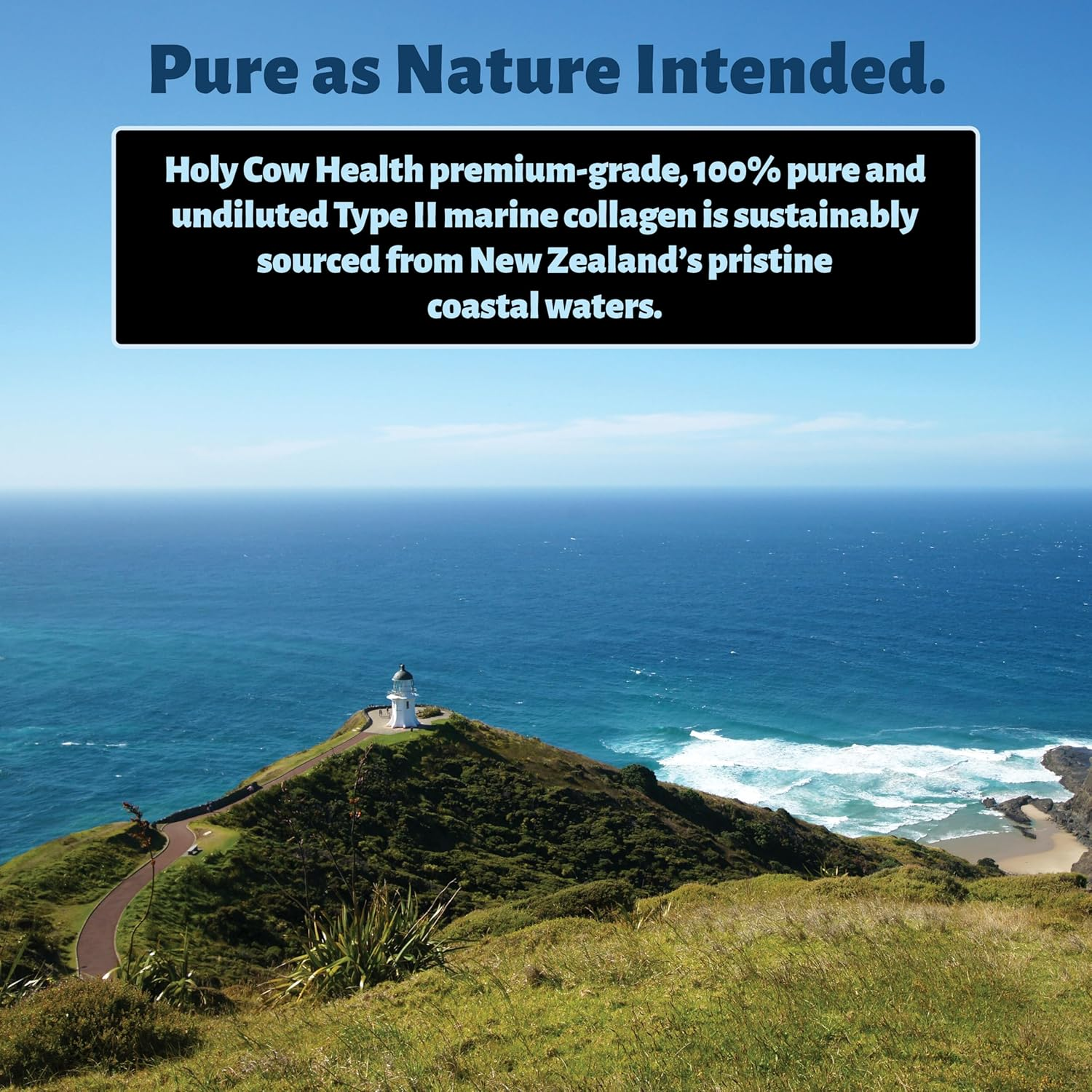Marine Collagen Capsules by Holy Cow Health - Pure Type II Collagen Hydrolysed for Superior Absorption - Sustainably Sourced from New Zealand'S Pristine Coastal Waters image number 1