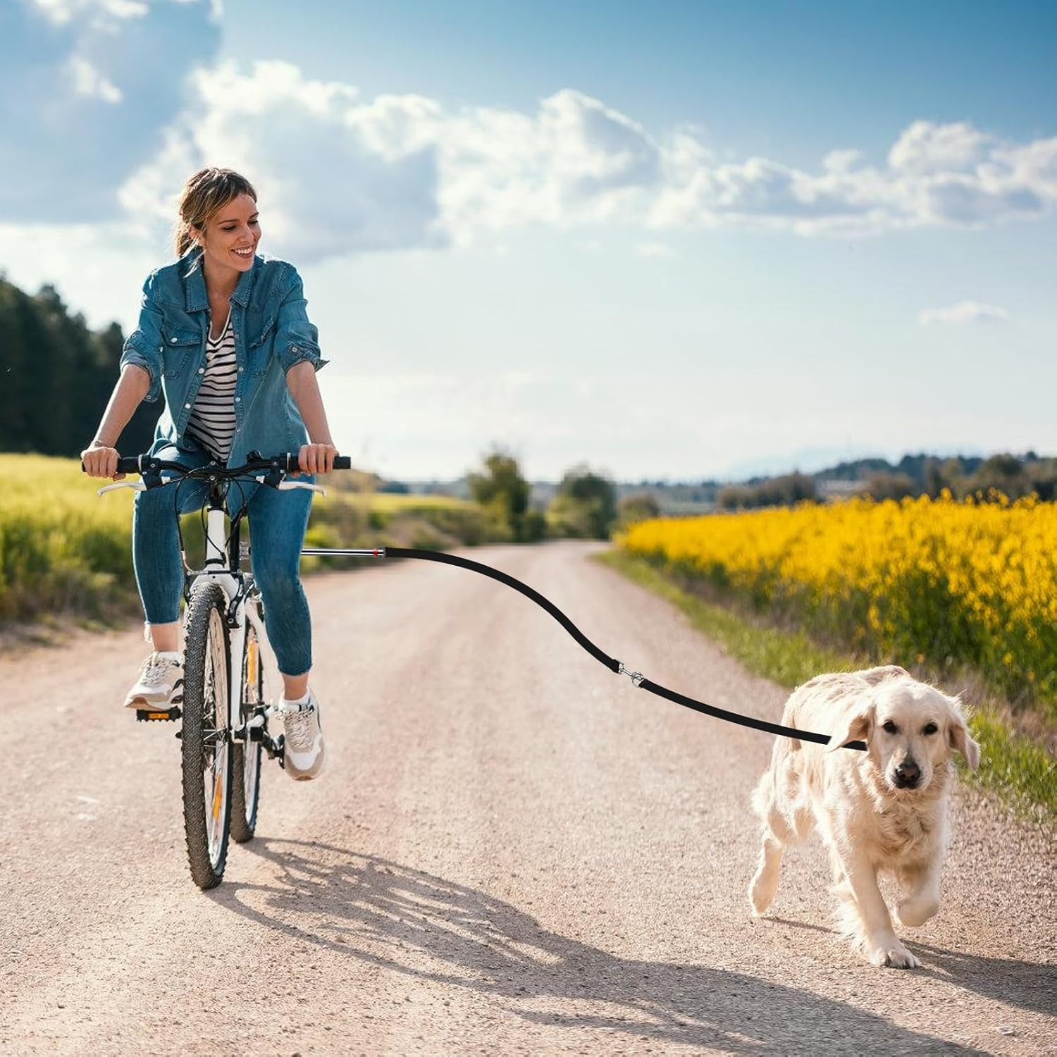 Bicycle Dog Leash: Retractable Dog Lead, Exercise Lead, Bicycle Dog Holder with an Allen Key and a Rubber Seal, Equipped for Cycling and Walking with Dog image number 4