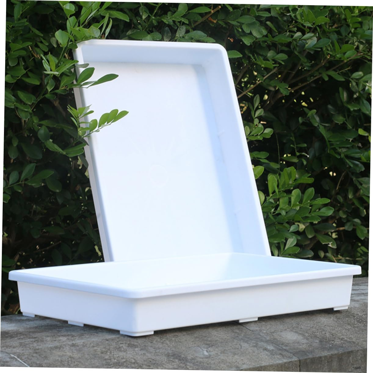 MOBUTOFU 2Pcs Plastic Flower Pot Tray Plant Saucer Reusable for Indoor Plants Water Catcher Container for Potted for Gardening Accessories and Care image number 1