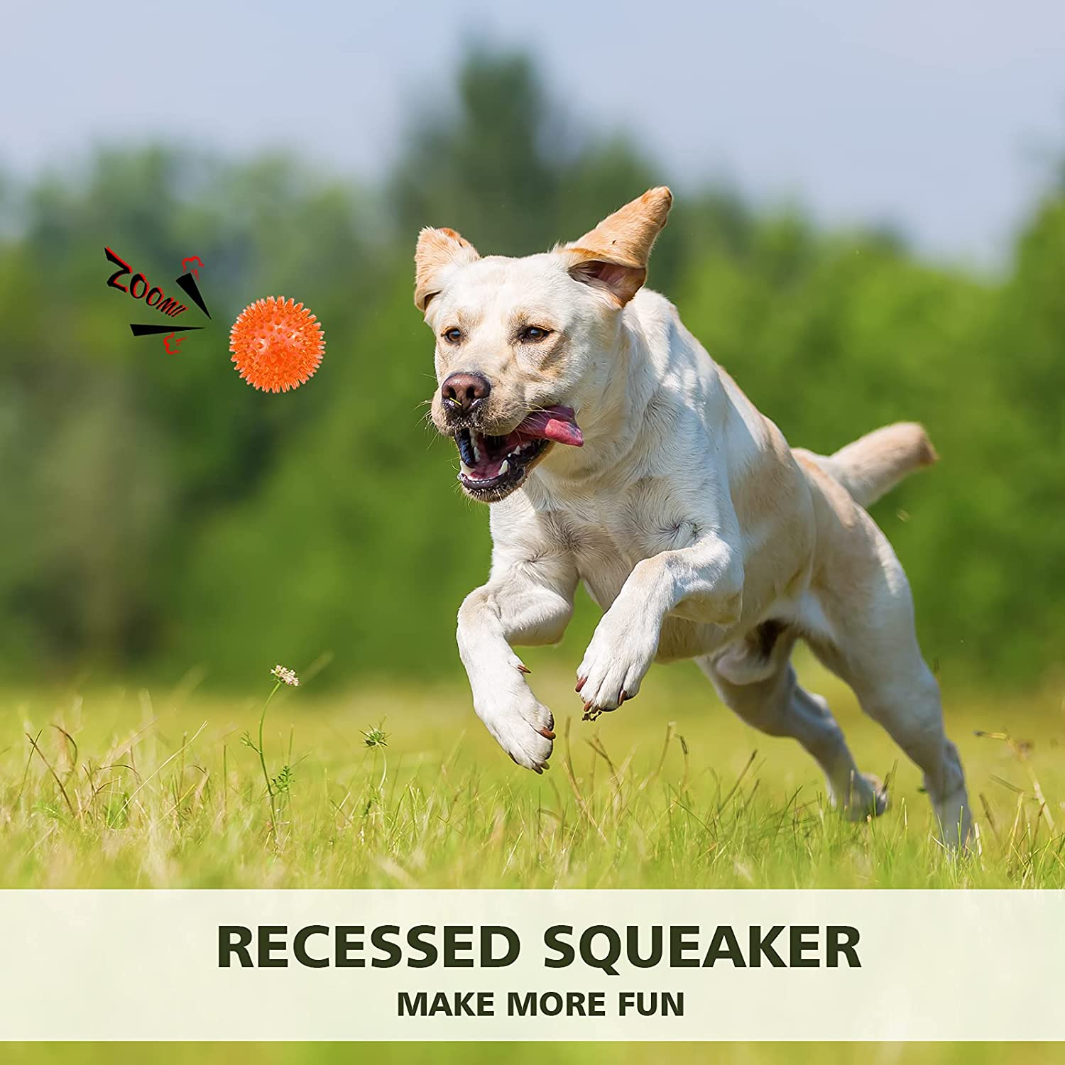 Petizer 3 Pack 2.5" Squeaky Toy Balls, Floating Pool Balls, Spiky Water Toys, Durable Interactive Fetch Toys for Puppy, Chew Toys for Teething (Small Dog) image number 1