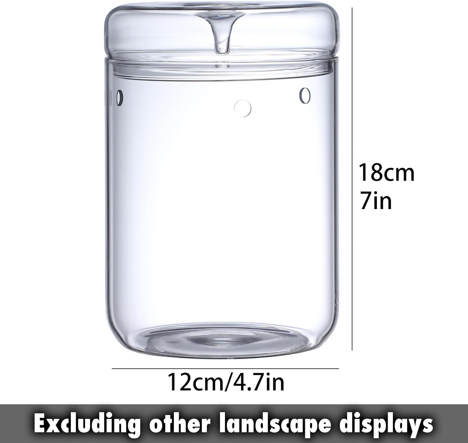 SARUFO Small Glass Plant Terrarium 4.7"X7" Inches Succulent Air Planter Fern Moss Micro-Landscape Vase for Home Garden Office Tabletop Decoration Container with Lid Indoor Wardian Copyright Patent image number 2