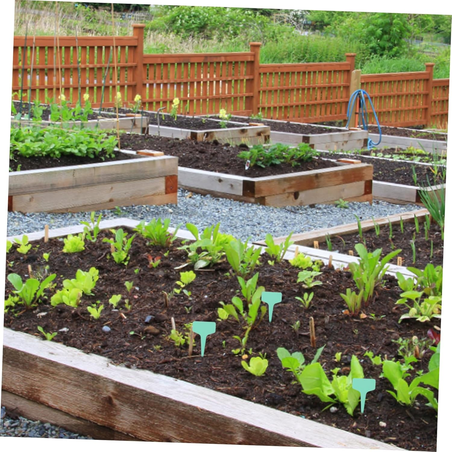 Kisangel 3 Sets Plant Wire Ties for Plants Fixing Belts Flower Label Gardening Tool for Outdoor Garden Use image number 5