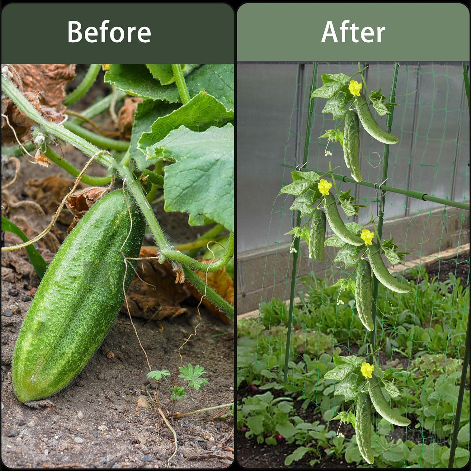 Cucumber Trellis for Garden, 63&Prime; X 45&Prime; U-Shaped Garden Trellis for Climbing Plants Outdoors with Climbing Net, Metal Detachable Arch Plant Support Vegetable Trellis image number 3