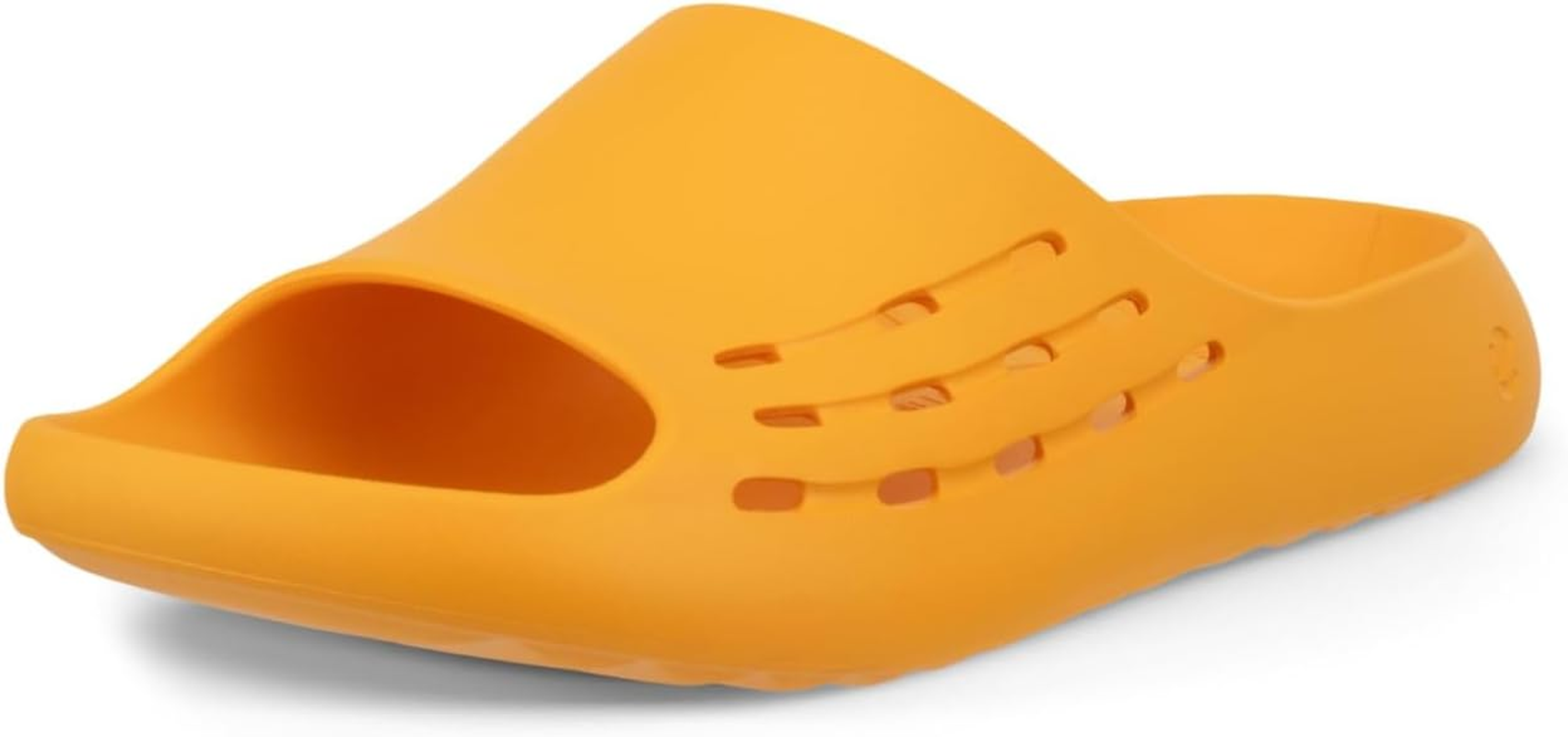 ECCO ECCO image number 4