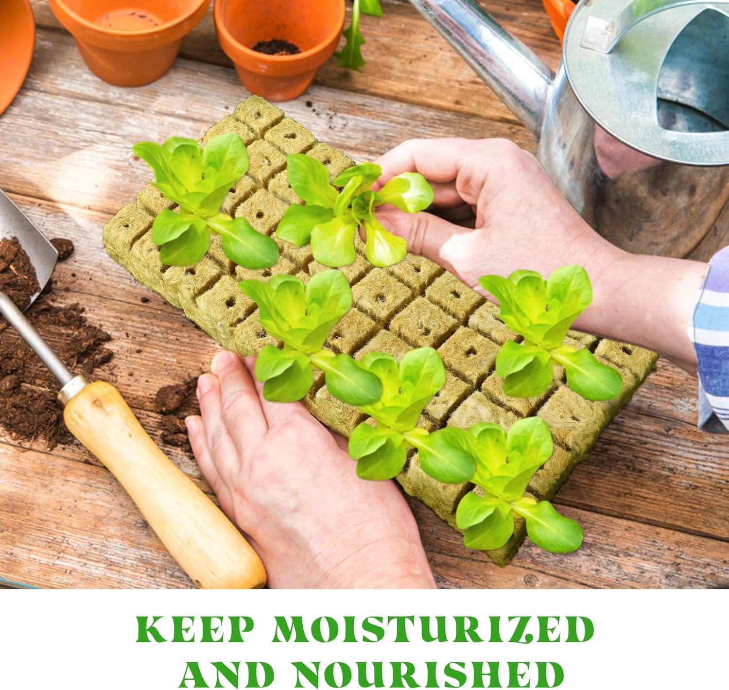 GANAZONO Cubes Plugs Cubes Plugs Cubes Plugs 100Pcs Hydroponic Cubes Garden Cubes Starter Plugs for Soilless Cultivation Hydroponic Hydroponic Cubes Plugs Garden Supplies image number 5