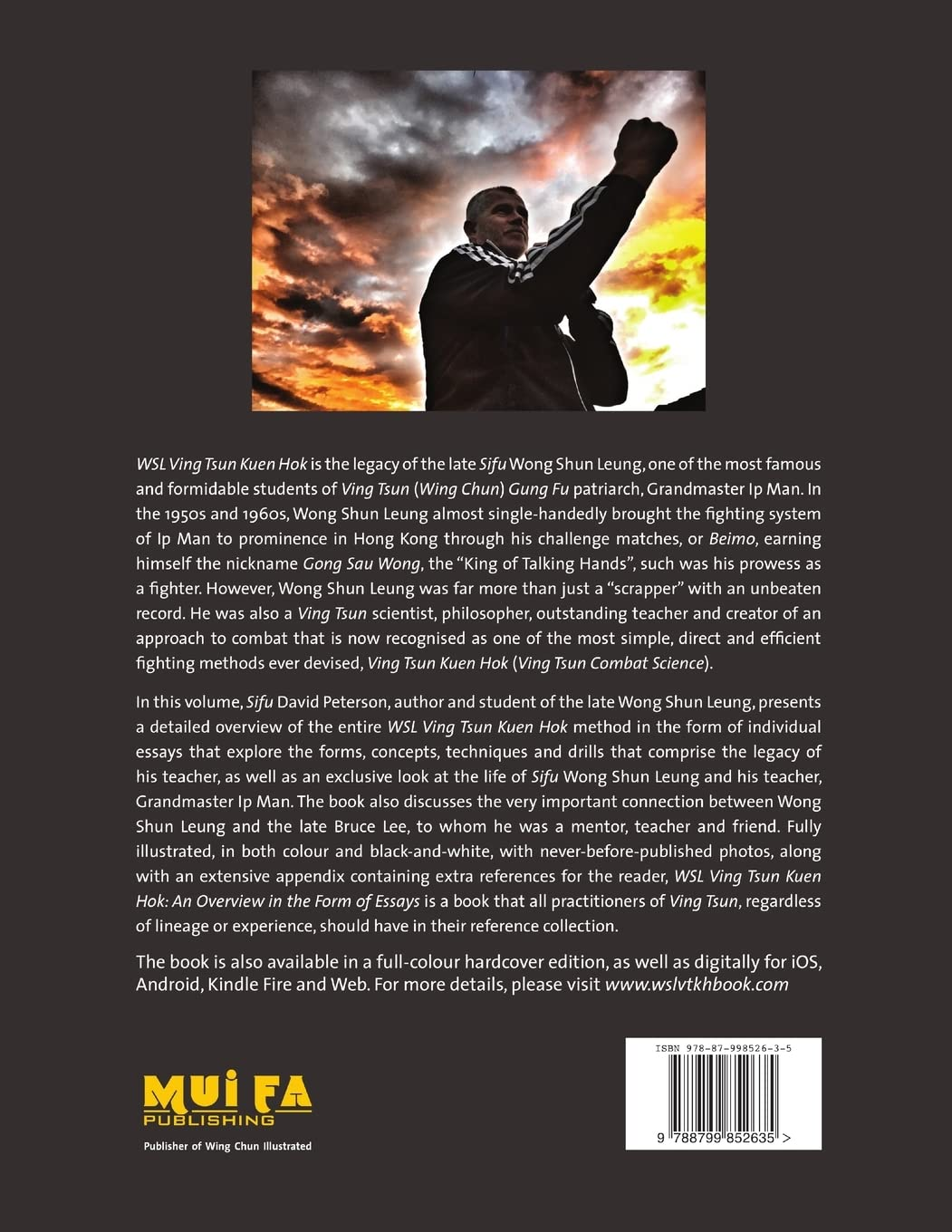 WSL Ving Tsun Kuen Hok: an Overview in the Form of Essays image number 1