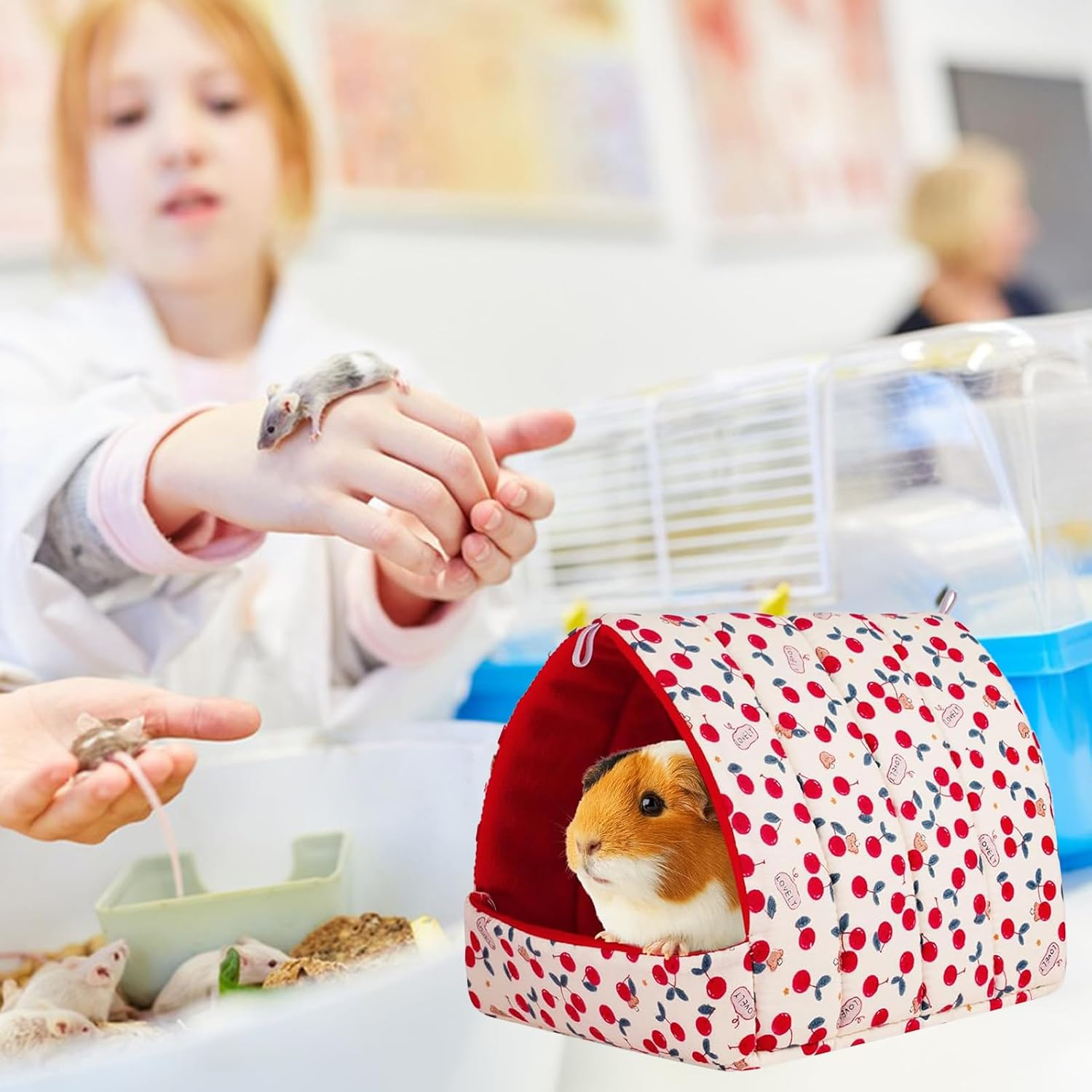 Pack of 2 Guinea Pig Bed Cuddly Cave Washable, Small Animal Winter House, Winter Cosy Small Animal Beds, Guinea Pig Bed, for Small Animals, Hamster, Rat, Rodent, Squirrel, 11 Cm X 9 Cm X 8 Cm image number 2