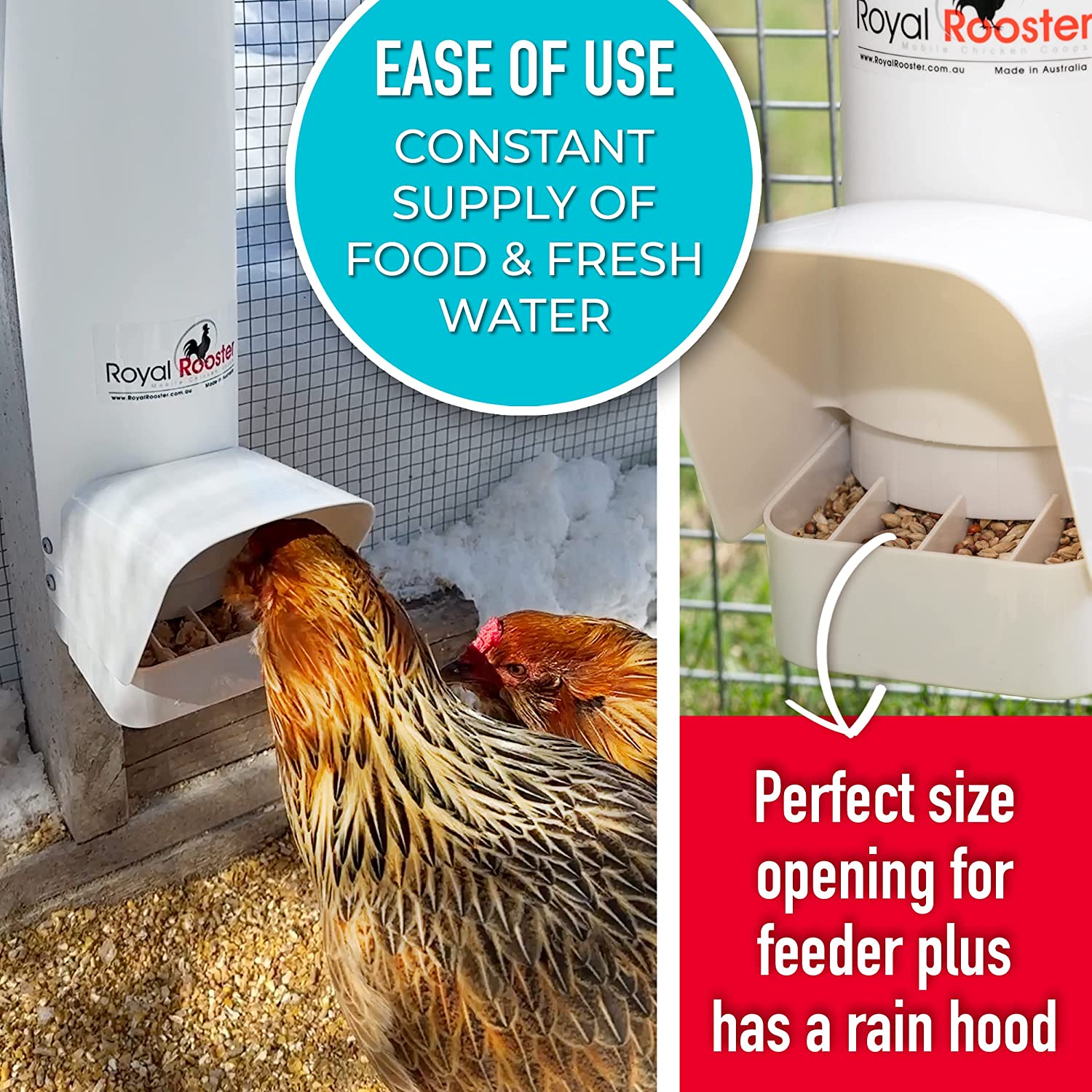Royal Rooster Automatic Chicken Feeder with Gravity Feed Dispenser - 3Kg Feeder for Chickens, Chicks & Mixed Poultry - Hanging Chicken Poultry Feeder - Auto PVC Chicken Poultry Feeder with Rain Cover image number 3
