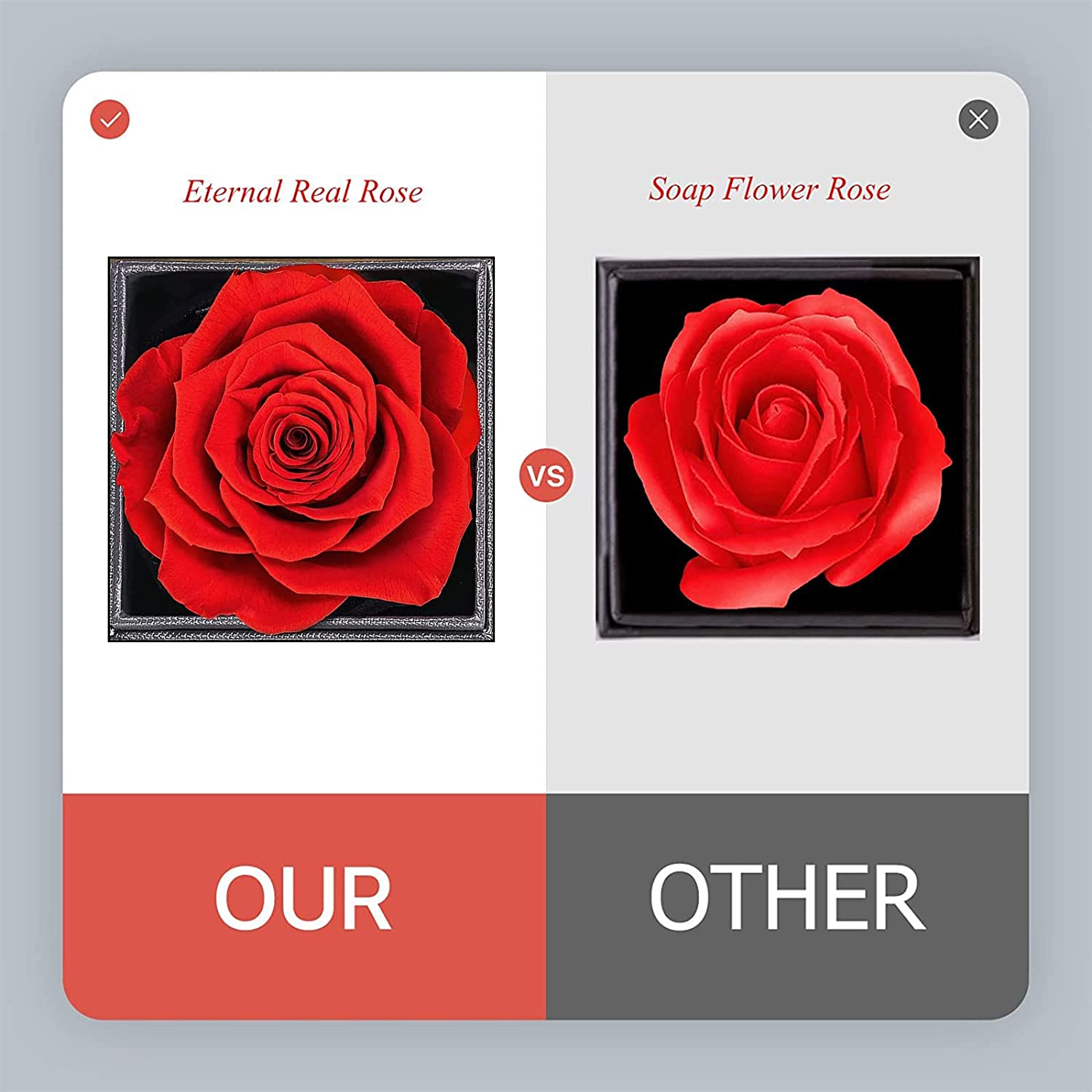 TOJUNE Preserved Real Eternal Rose with I Love You Necklace 100 Languages Handmade Artificial Flower for Her Mother'S Day Christmas Thanksgiving Romantic Anniversary Valentine'S Birthday Gifts (Red) image number 4