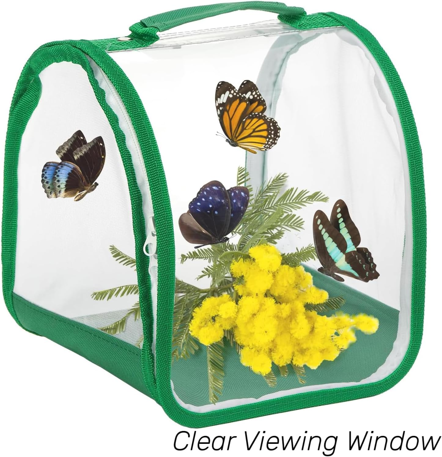 Small Butterfly Habitat, Insect Mesh Cage, Caterpillar Enclosure, Critter Cage, Bug Terrarium Portable Carry Handle Easy to Observe 20 X 20 X 20 Cm image number 3
