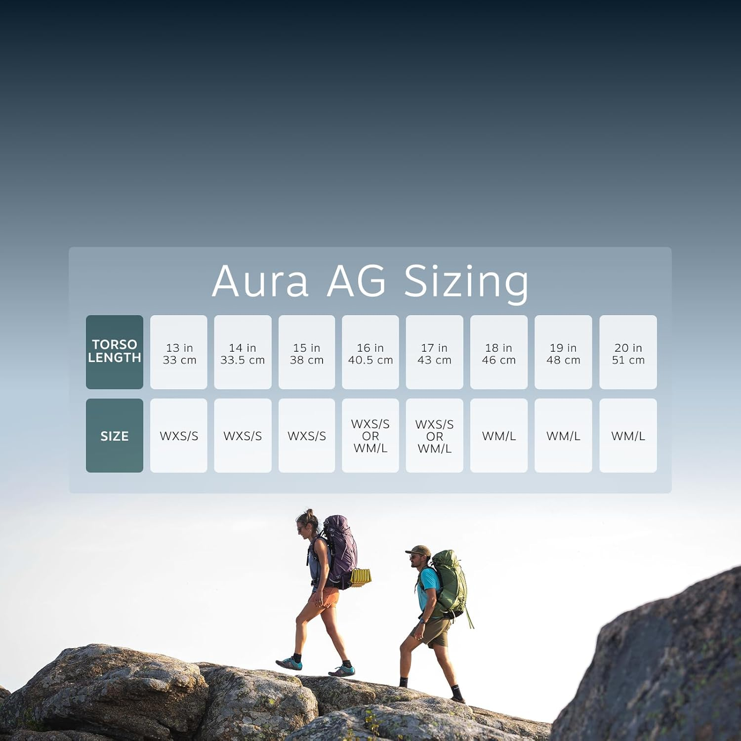 Osprey Osprey image number 3