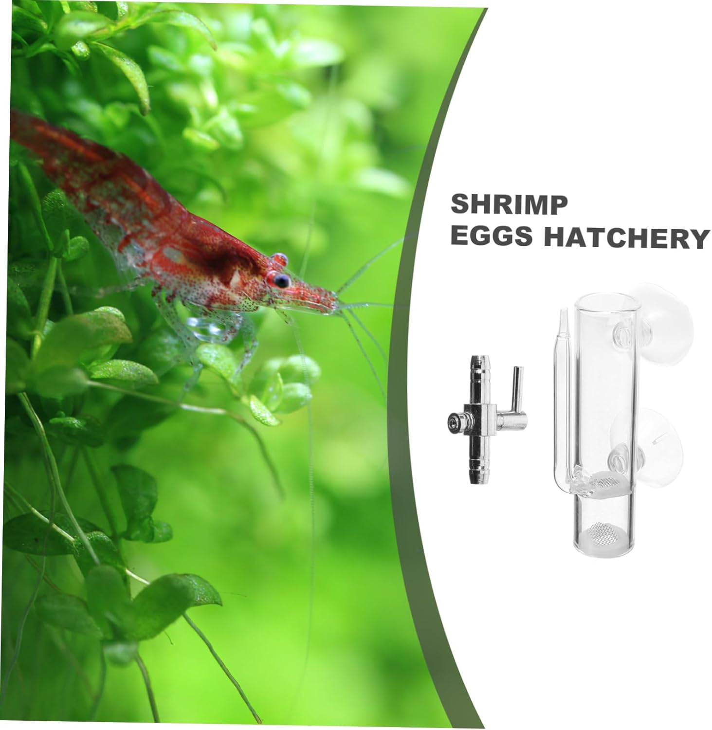 BUGUUYO Glass Shrimp Hatchery Box with Suction Cup Fish Incubator Tube, Brine Shrimp Eggs Hatchery Kit for Aquarium Breeding Tanks, Glass Isolation Case for Aquatic Pets image number 5