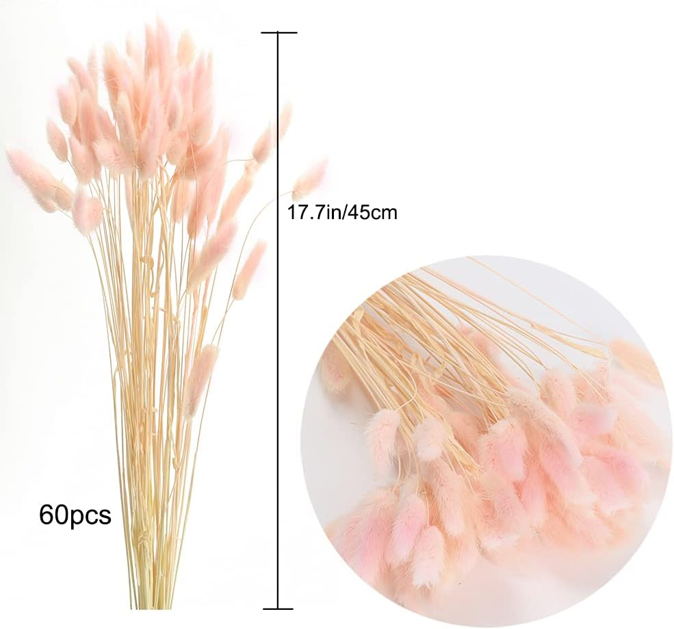XHXSTORE 60Pcs Pink Pampas Grass Dried Flowers Bouquet for Home, Garden, Wedding, DIY Craft, Farmhouse Table Decor (17") image number 2