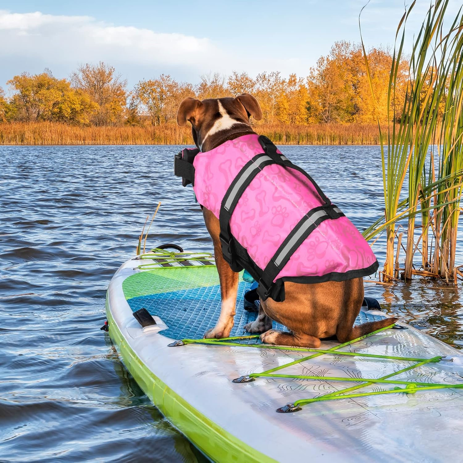 Neween Dog Life Jacket with Reflective Stripes, Adjustable Dog Life Preserver Ripstop Dog Life Vest with High Flotation and Lift Handle, Pet Lifesaver Swimsuit for Small Dogs (Pink, Small) image number 5