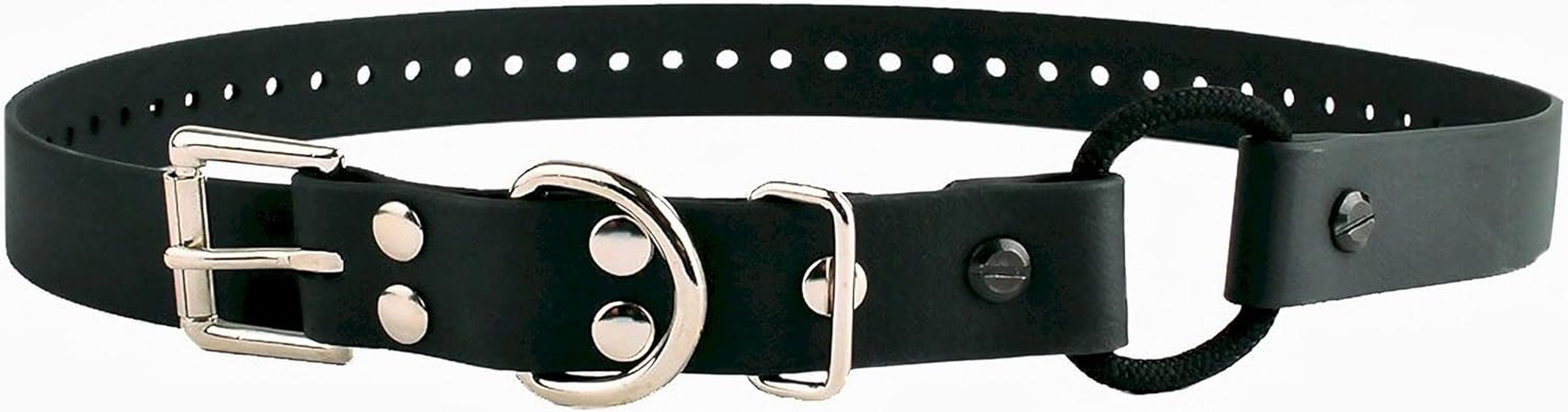 Educator Bungee Dog Collar, Biothane, Waterproof, Odorproof, Metal Buckle and D Ring with Comfort Bungee Loop Adjustable for Custom Fit, 3/4-Inch, Black image number 4