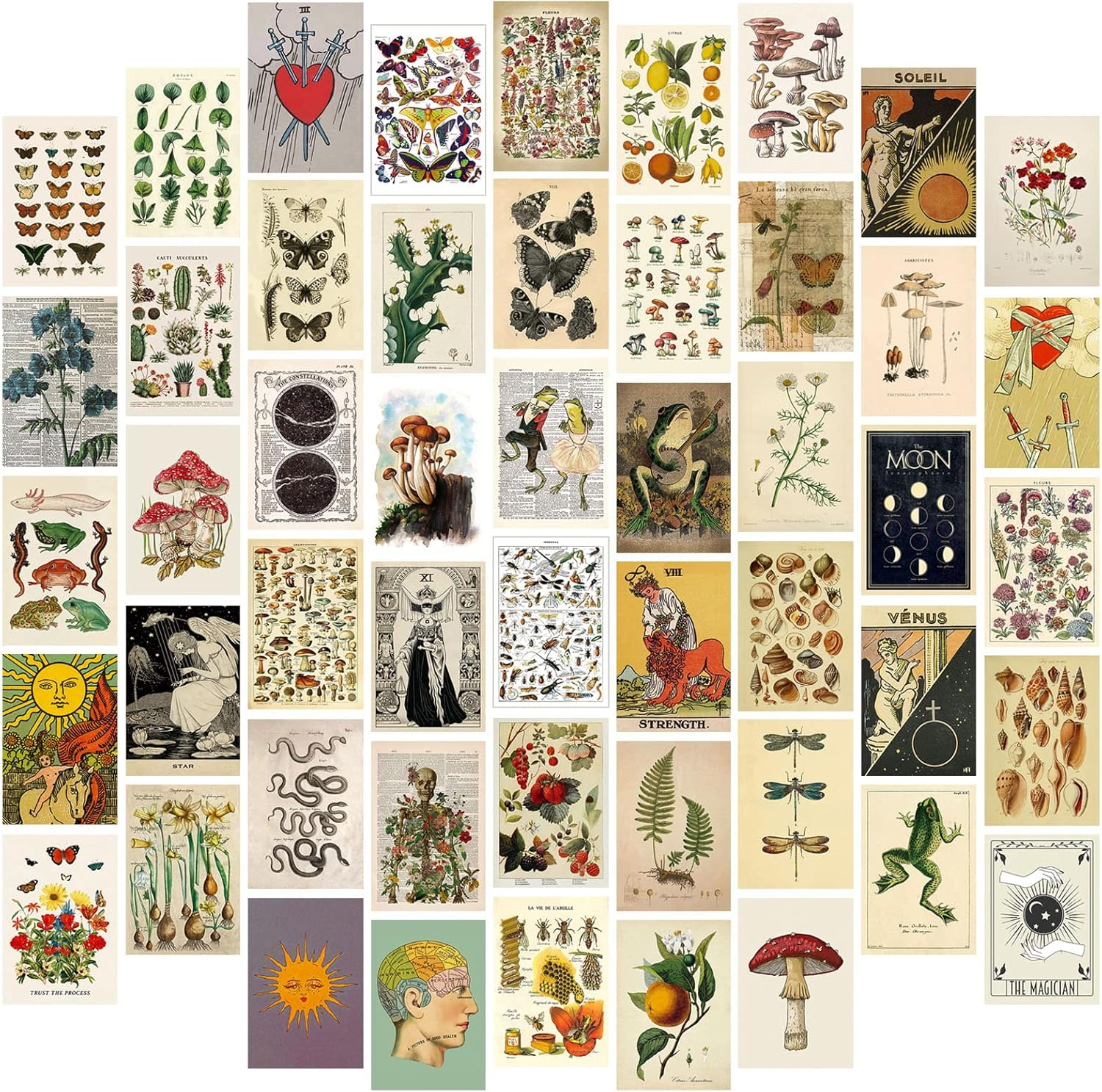 ART&middot;ZONE 100 Pcs 5X5 Inch Wall Collage Kit for Room, Album Cover and Music Posters, Rapper and Band Wall Art for Bedroom