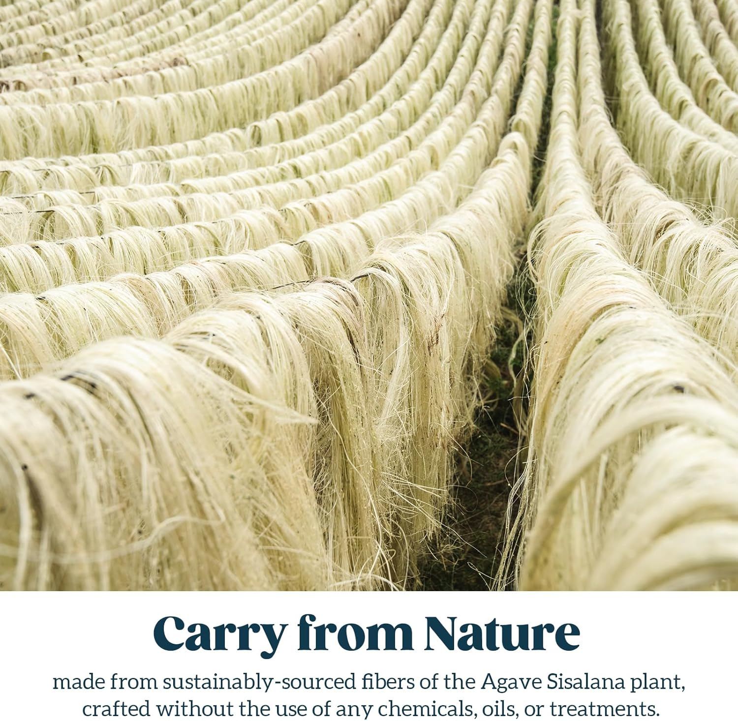 PELZIN Natural Sisal Rope for Cat Scratcher 6Mm X 30M, Cat Scratching Post Replacement Rope, Cat Tree Twine for Scratching Post Repair, Recover, Replace and DIY, Natural image number 3