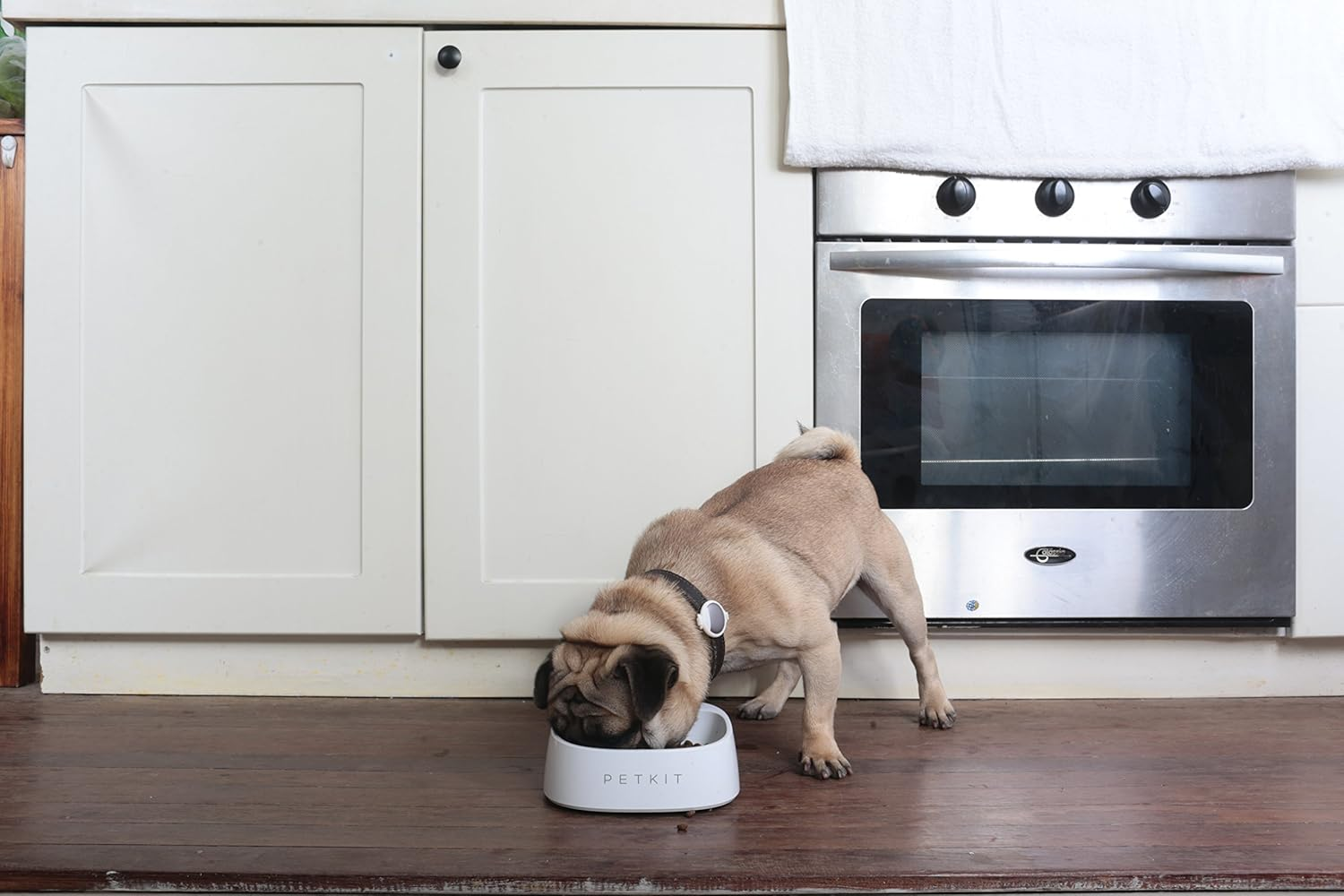 Petkit SAB1WH Fresh Smart Bowl for Dog, White image number 4