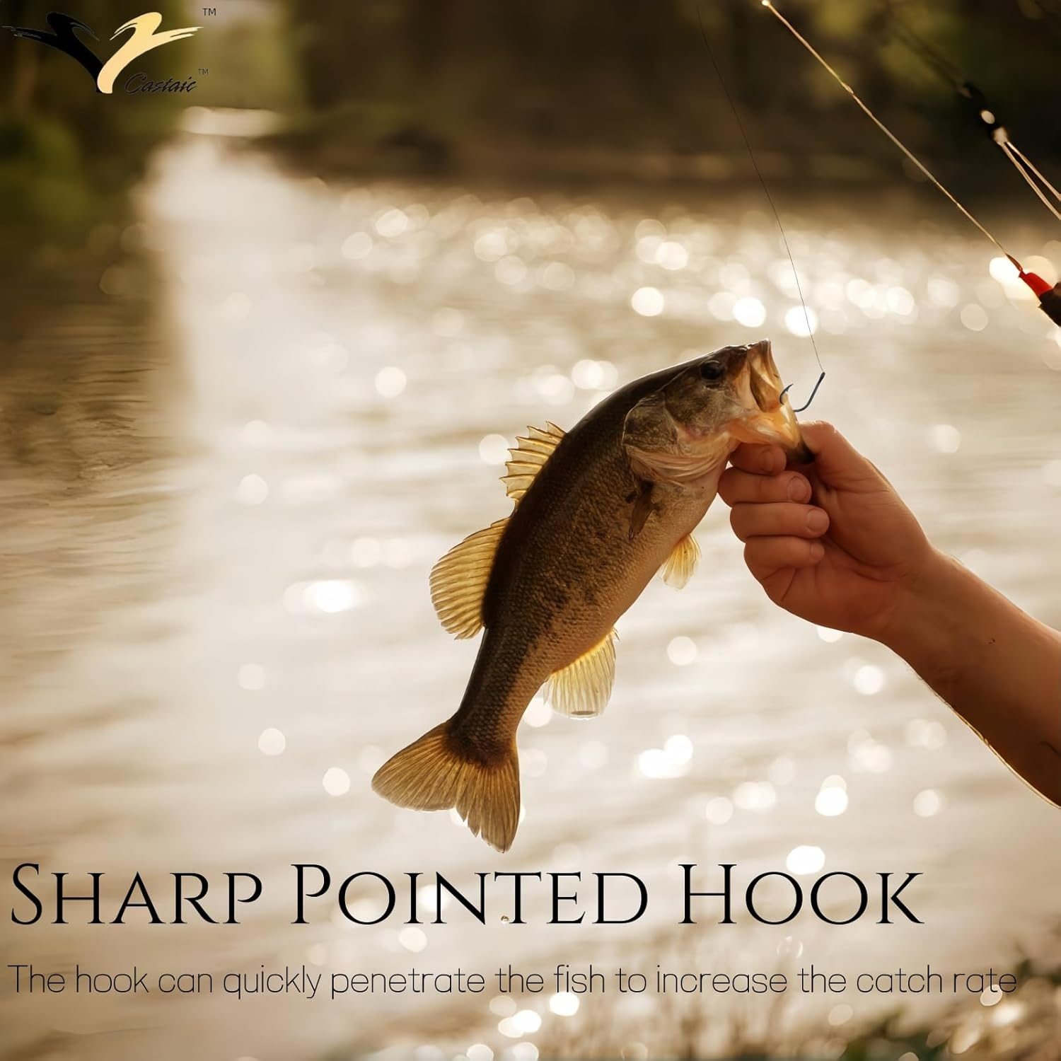 Castaic 500Pcs Fishing Hooks, Carbon Steel Hooks,Worm Hooks for Fishing Lovers image number 1