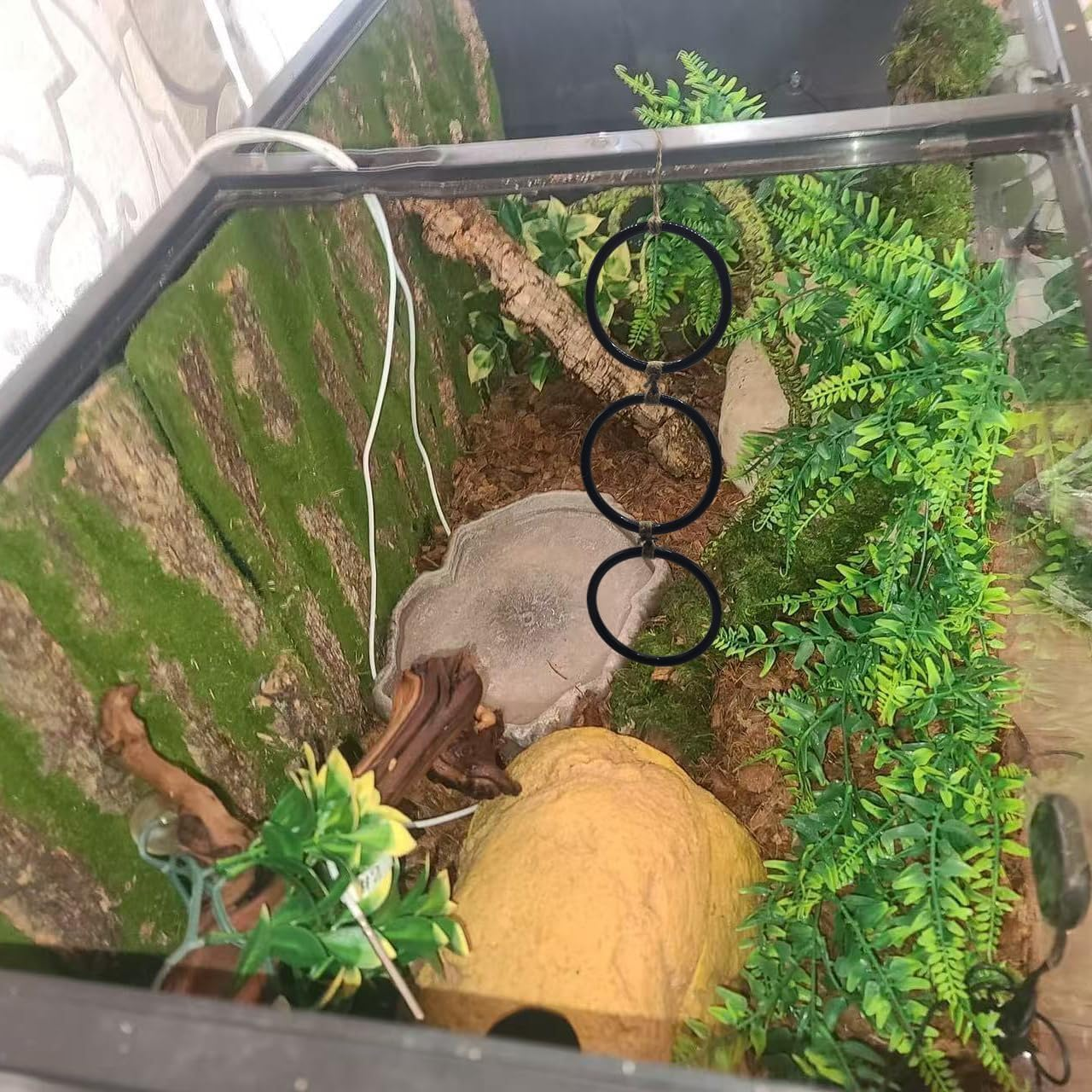 Snake Enrichment Rings - Climbing Toys for Ball Pythons & Corn Snakes, Reptile Playground Accessories with Textured Surface image number 6