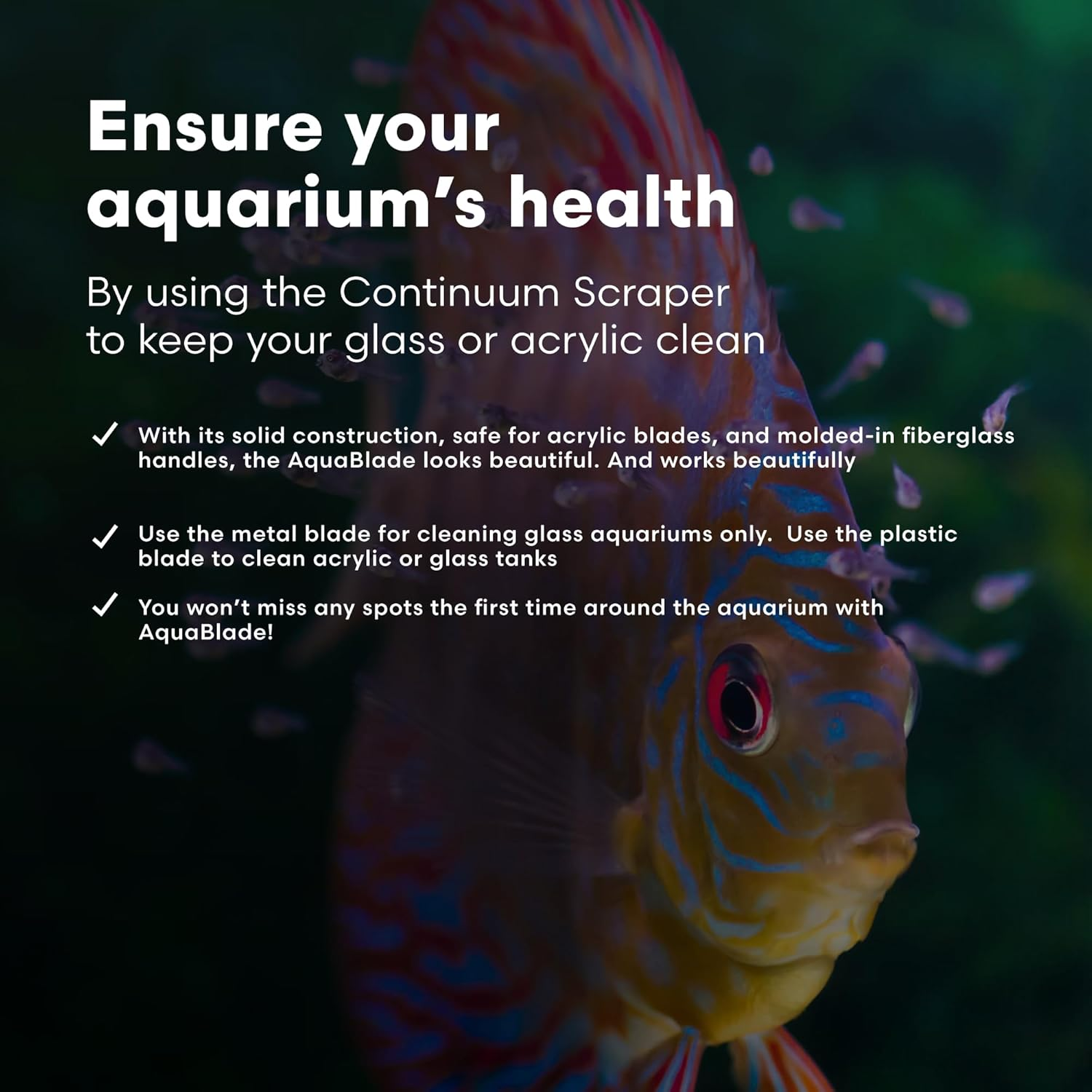 Continuum Aquatics Continuum Aquablade P - Short Fish Tank Algae Scraper, Acrylic Safe Scraper - Aquarium Cleaning Tools image number 1