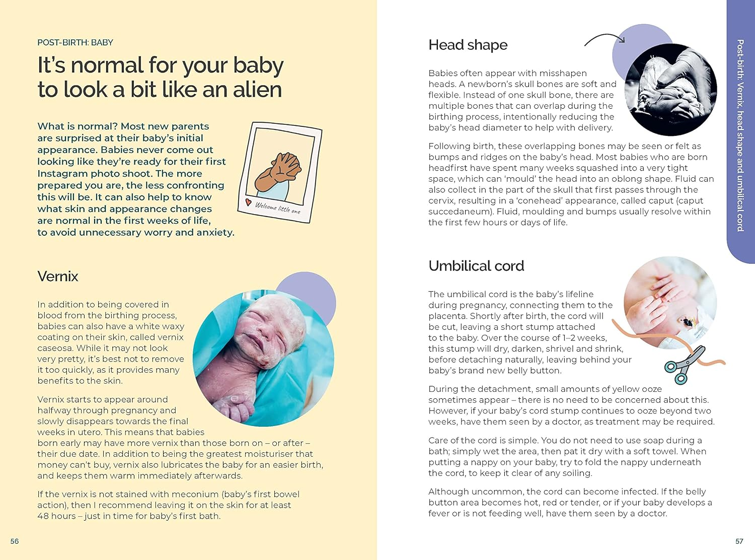 Your Baby Doesn'T Come with a Book: Dr Golly&rsquo;S Guide to the First Four Weeks of Parenthood: Volume 1 image number 6