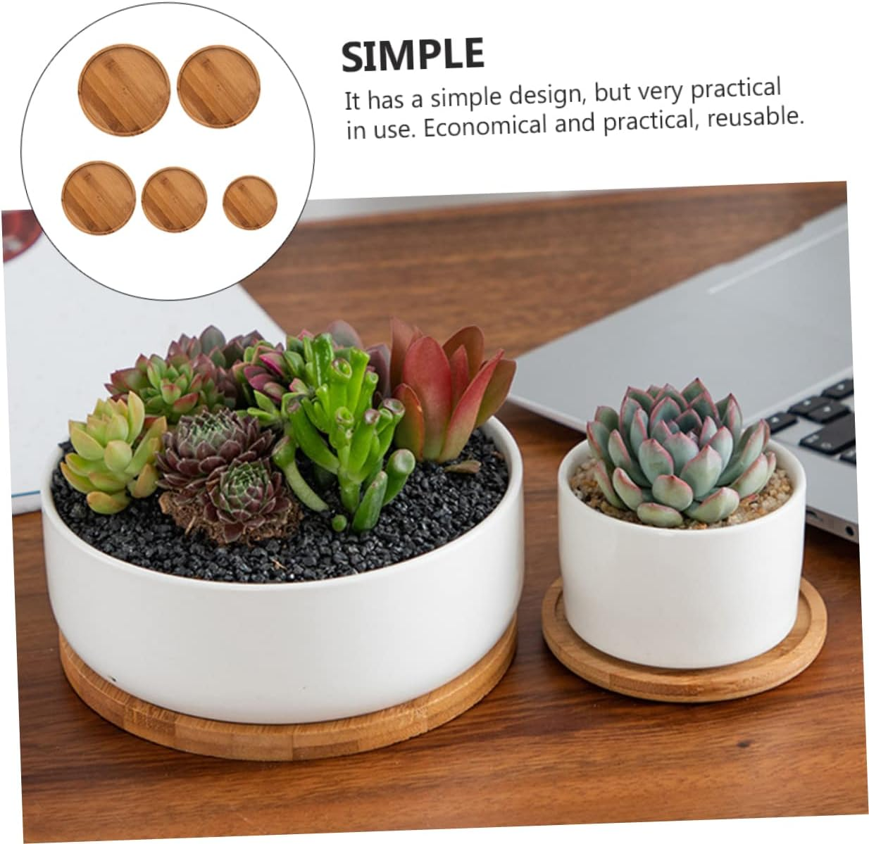 Flowerpot Tray Set 5Pcs for Home Gardening Includes Multiple Sizes 6.5-12Cm Diameter Non-Slip Water Plate for Indoor Plants and Ceramic Pots Sturdy Bamboo Bases image number 2