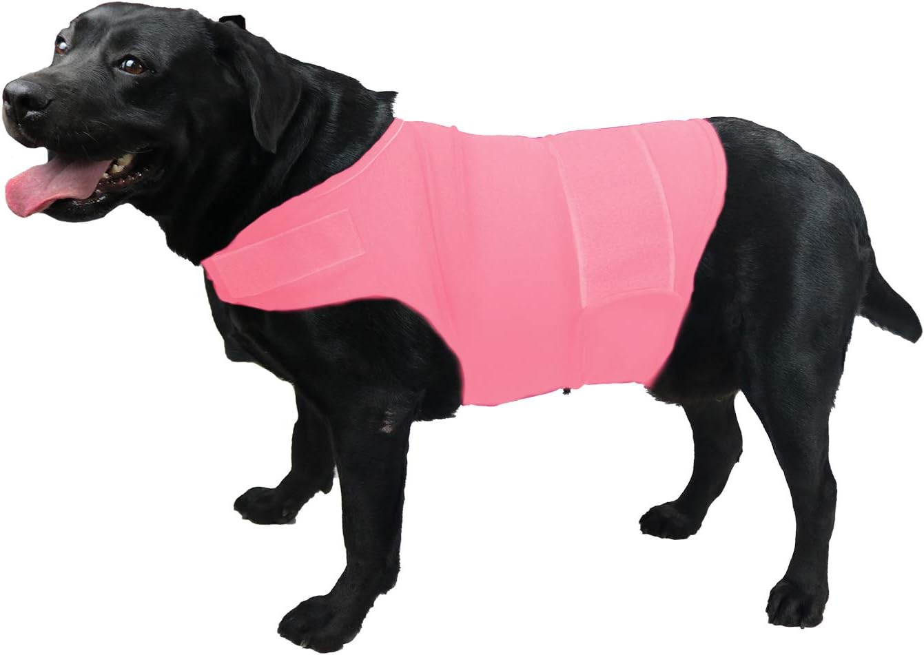 Breathable Dog Shirt for Thunderstorm, Dog Anxiety Vest Jacket Warp,Puppy Calming Coat Anxiety Relief (M, Grey)