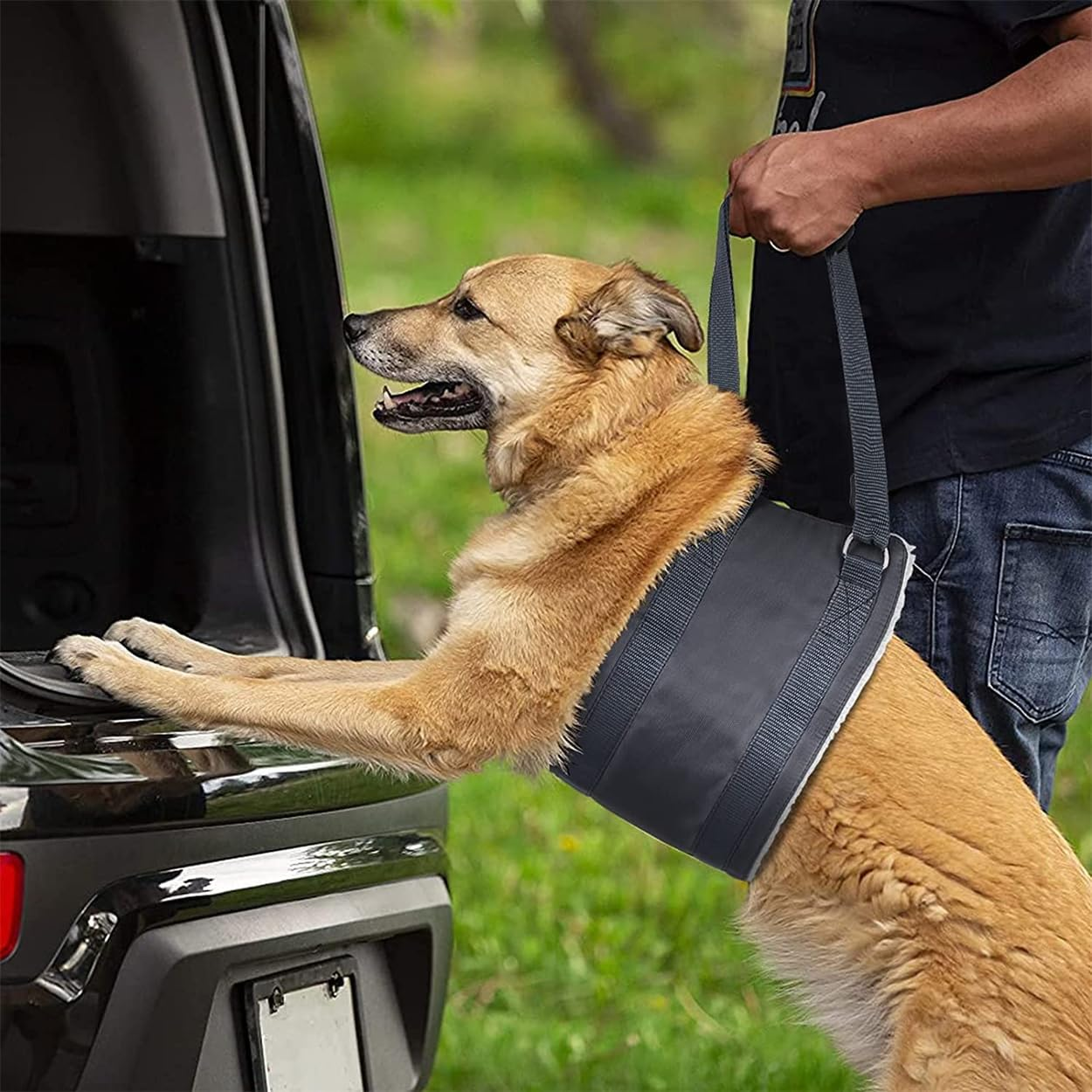 Dog Lift Harness, Dog Sling for Rear Legs, Heavy Duty Dog Lift Harness for Large Dogs, Hip and ACL Brace for Elderly Dogs image number 4