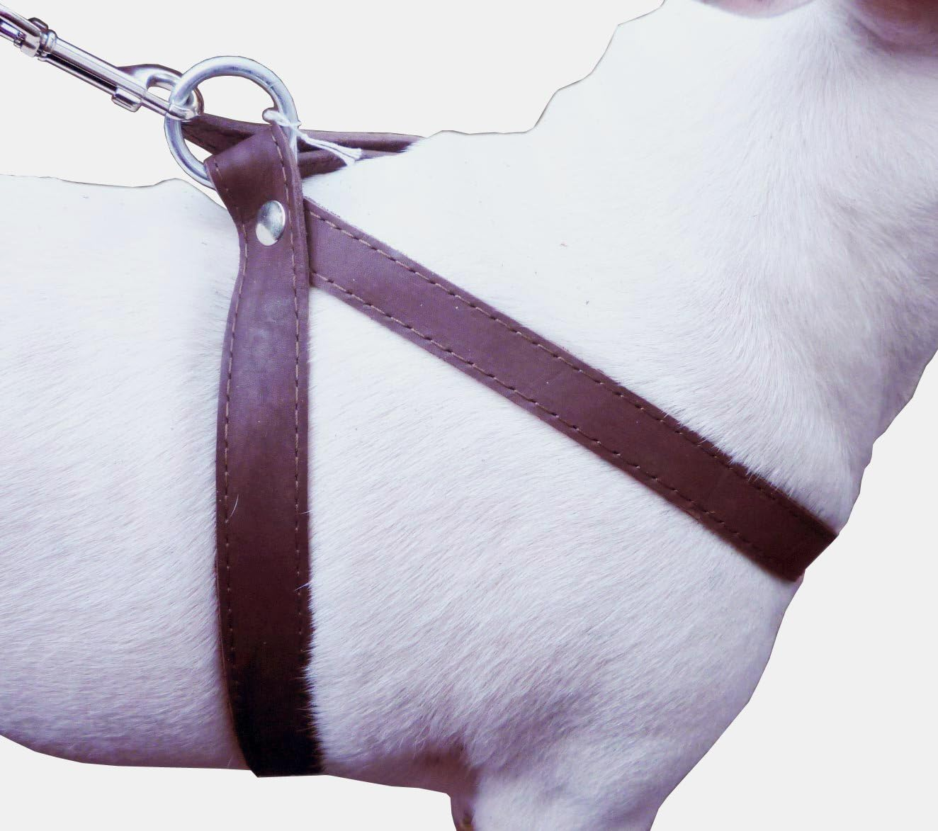 Brown Leather Dog Harness Medium. 21"-25" Chest, 1" Wide Straps image number 1