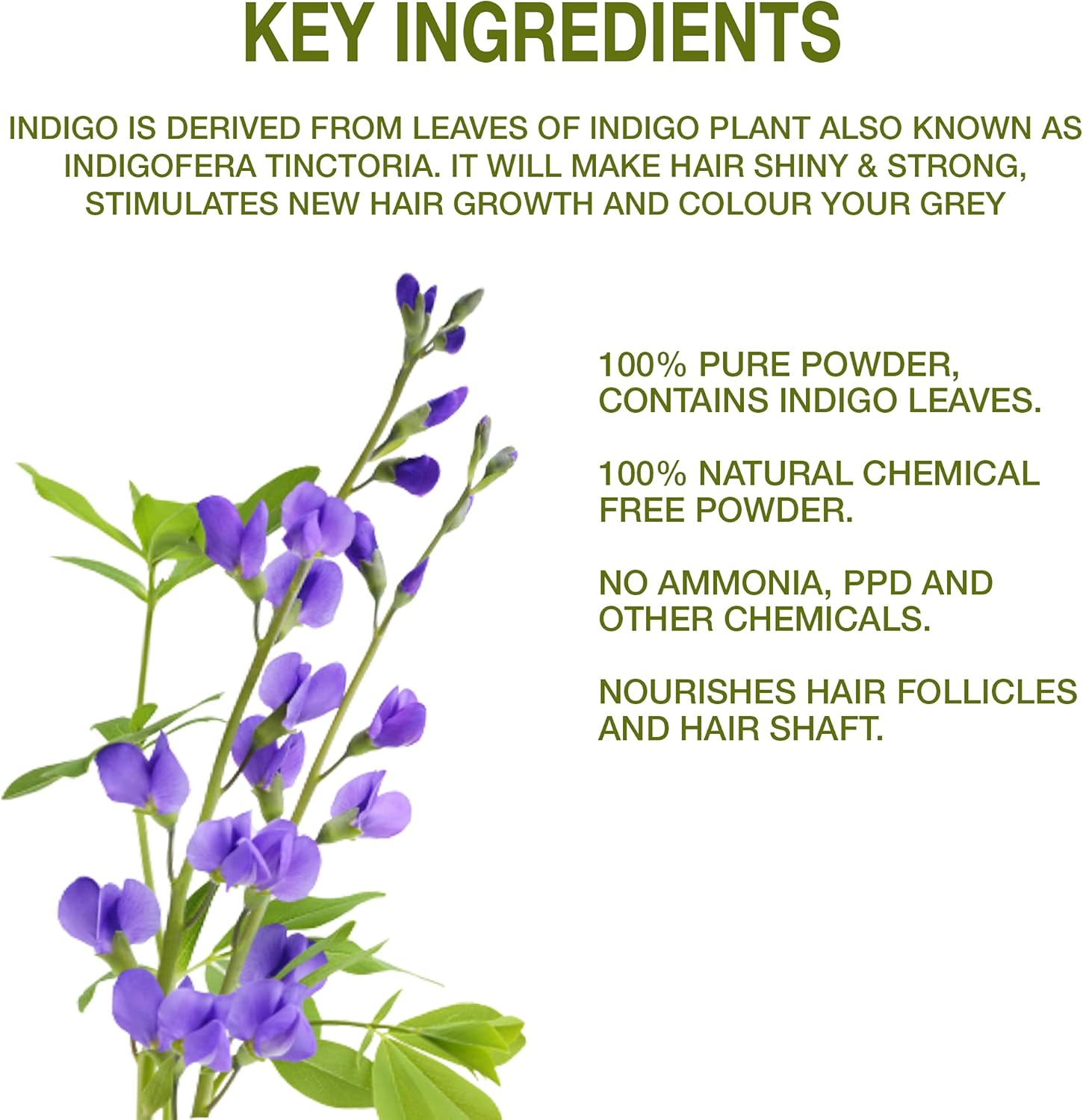 Organix Treasure Pure & Natural Indian Indigo Powder for Hair Care & Hair Growth, 200Gm image number 6