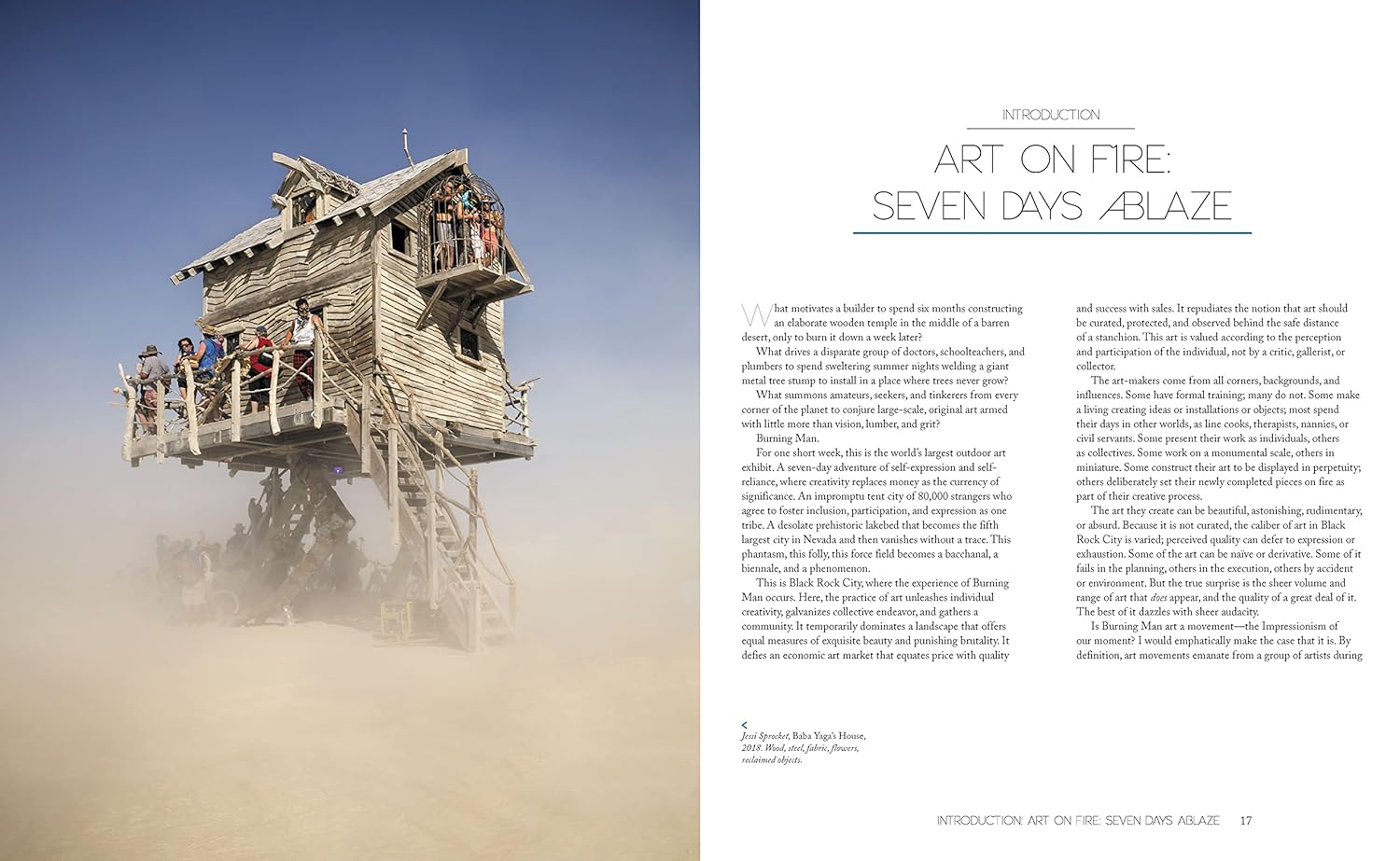 Burning Man: Art on Fire image number 1