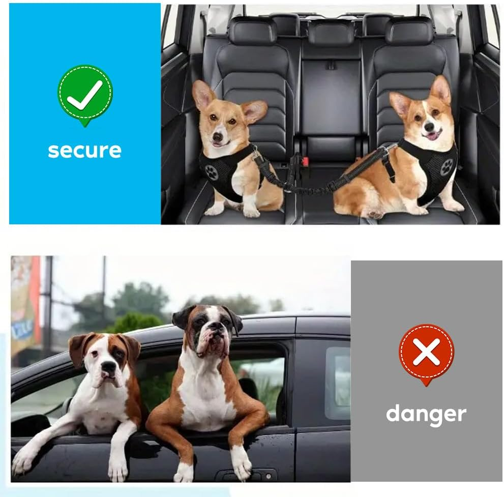 Double Dog Seatbelt,Coupler Lead with Elastic Bungee and Reflective Stripe,No Tangle Safety Belt Splitter in Vehicle for Two Pets Pets Trip Travel image number 2