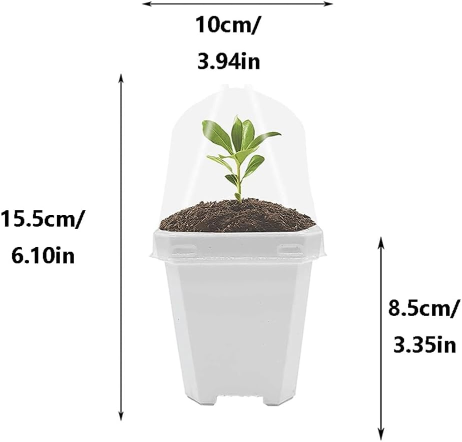 Sagasave 12 Sets Plants Nursery Pot, 15.5Cm Plastic Square Nursery Flower Pots with Humidity Dome and Tray, Small Flower Plant Container for Seedlings, Cuttings, Transplanting (Transparent)