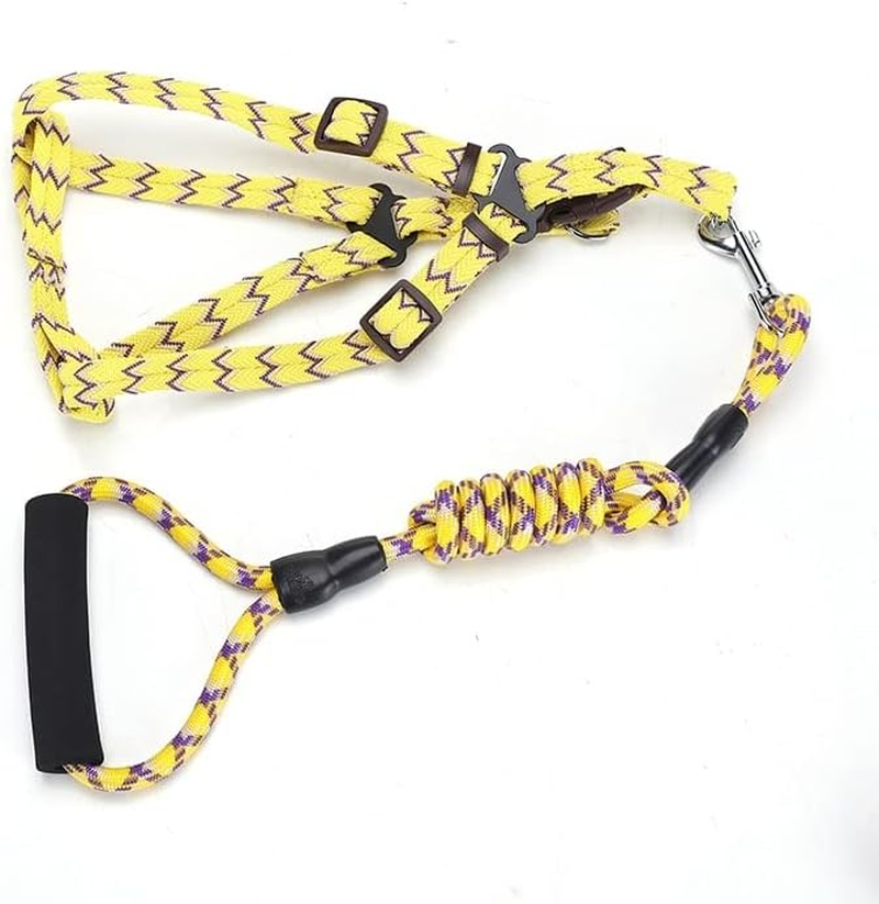 YES4PETS 2 X Medium Pet Dog Cat Puppy Kitten Rabbit Dog Harness Collar Leash Lead 5 Color image number 6