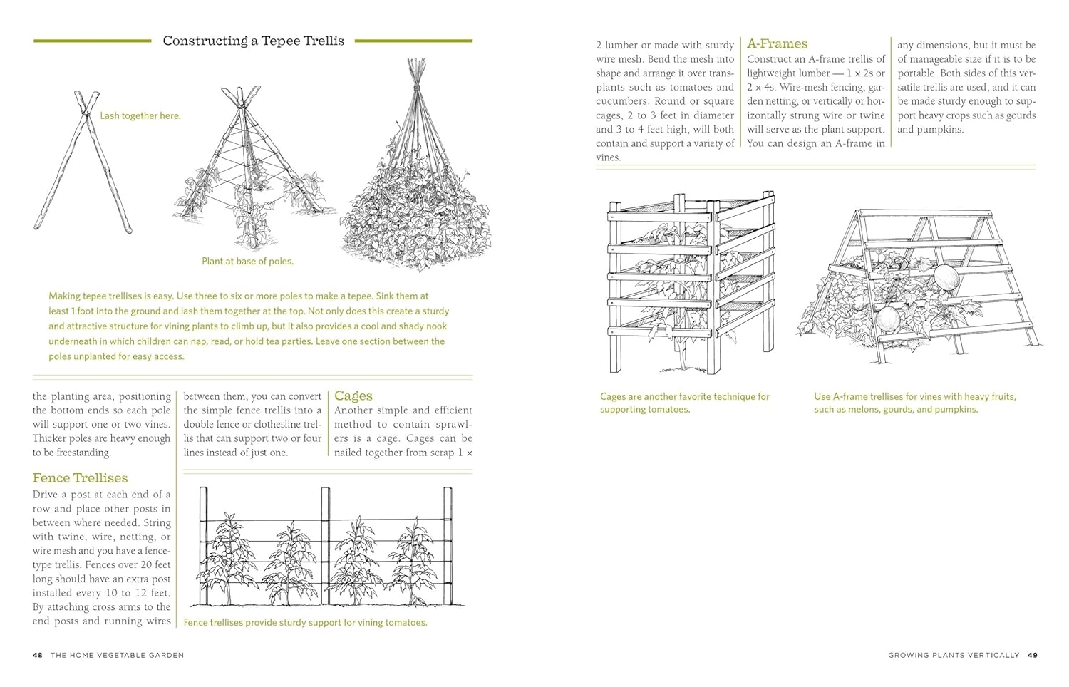The Backyard Homestead: Produce All the Food You Need on Just a Quarter Acre! image number 2