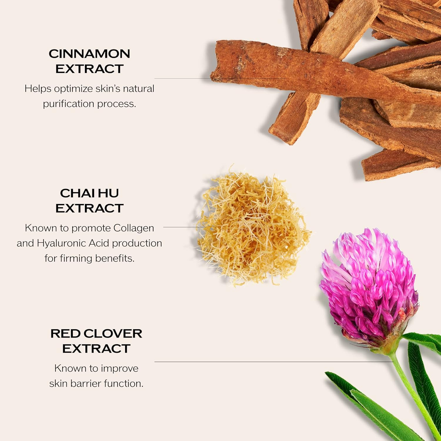 Bio-Performance Skin Filler Serun Day and Night by Shiseido for Women - 2 X 1 Oz Serum image number 3