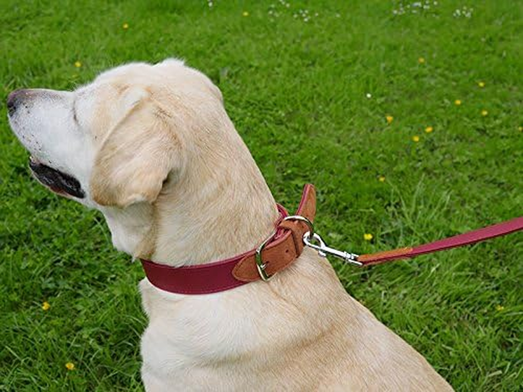 Rosewood Luxury Leather Soft Touch Dog Collar, Red, Small image number 5