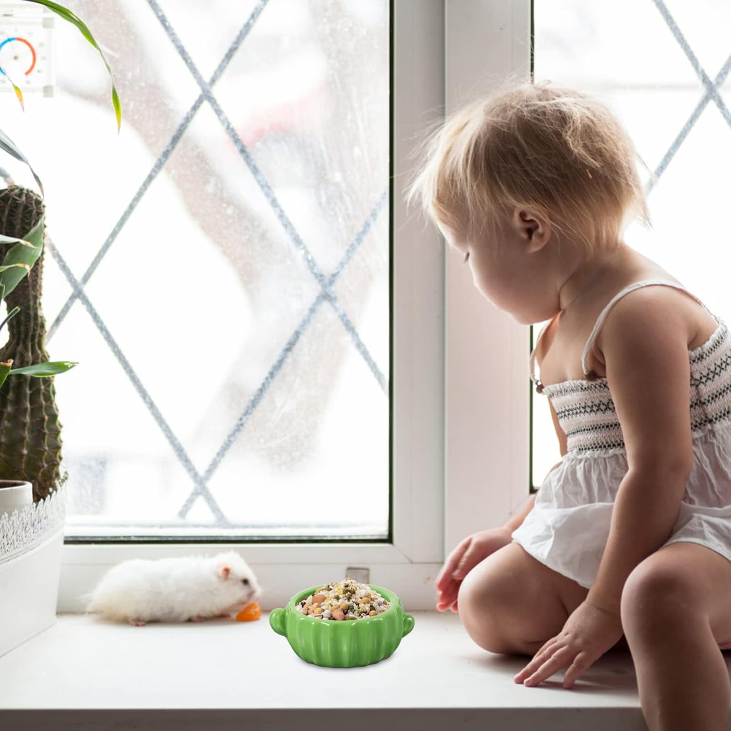 Mipcase Small Animal Bowl Guinea Pig Food Bowl Easy to Clean Safe for Hamsters and Chinchillas image number 2